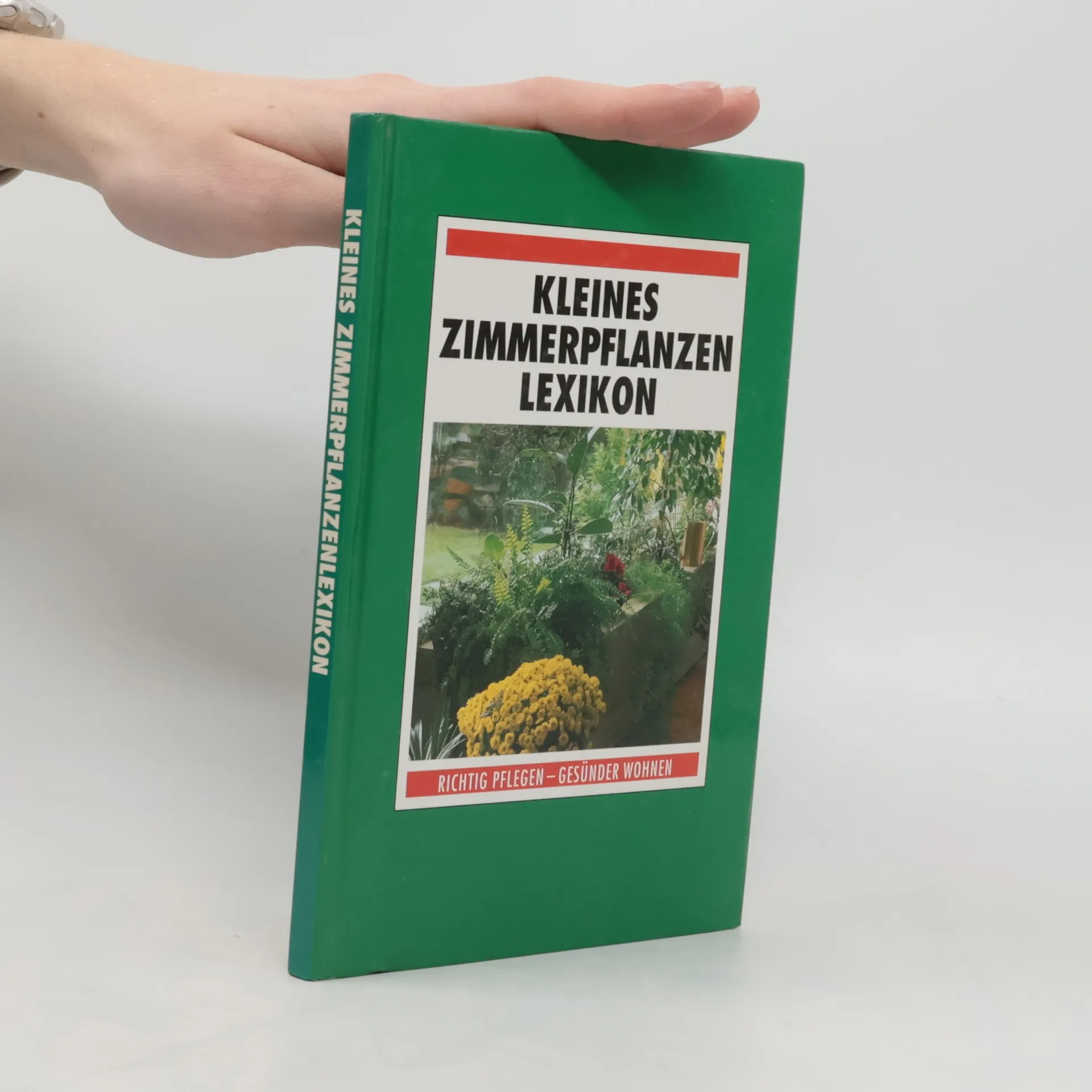 Kleines Zimmerpflanzen Lexikon | Buch | Hardcover | kolektiv