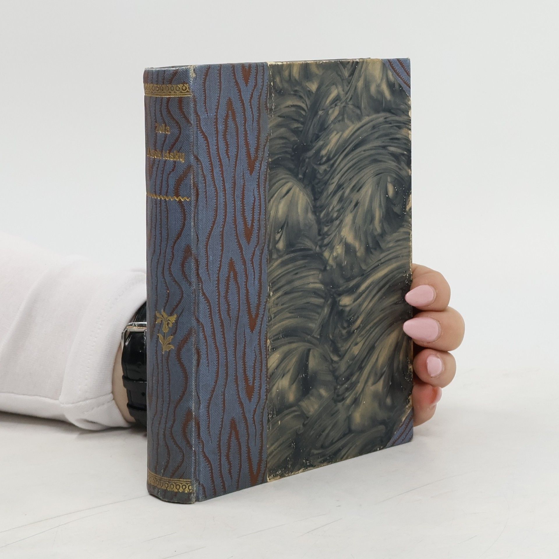 Émile Zola Lístek lásky