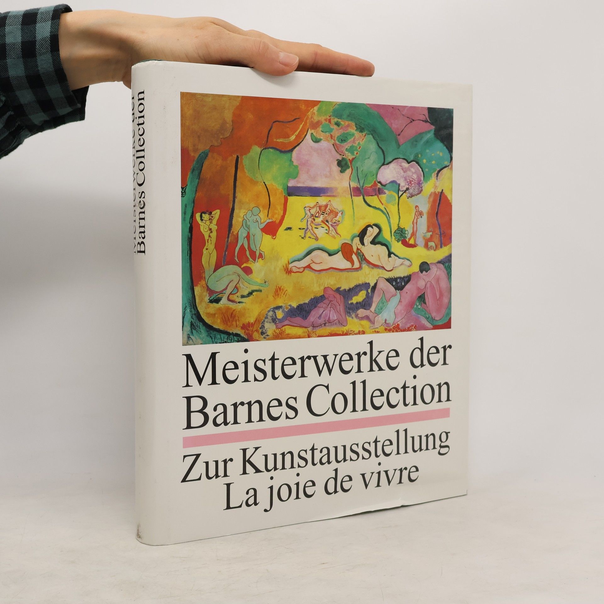 Autores varios Meisterwerke der Barnes Collection