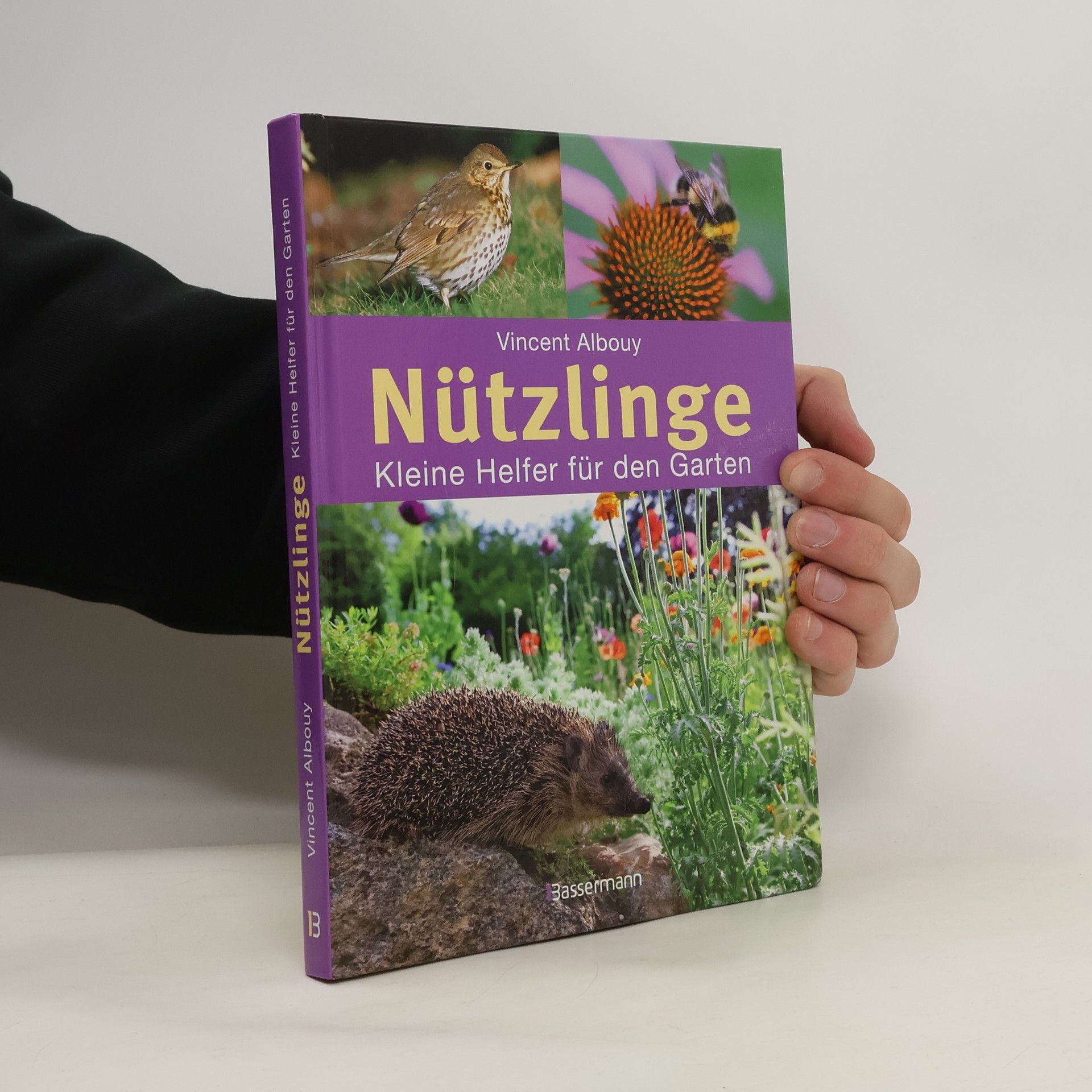 Vincent Albouy Nützlinge