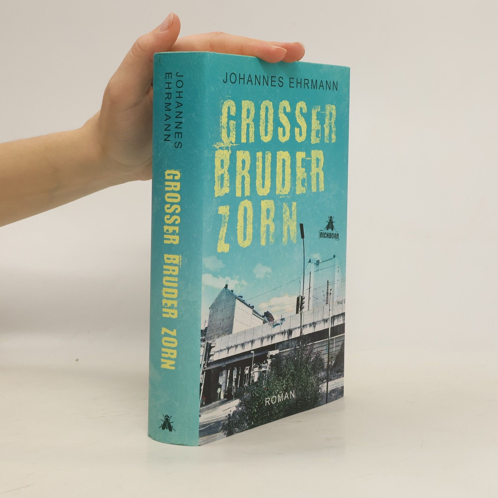 Johannes Ehrmann Großer Bruder Zorn