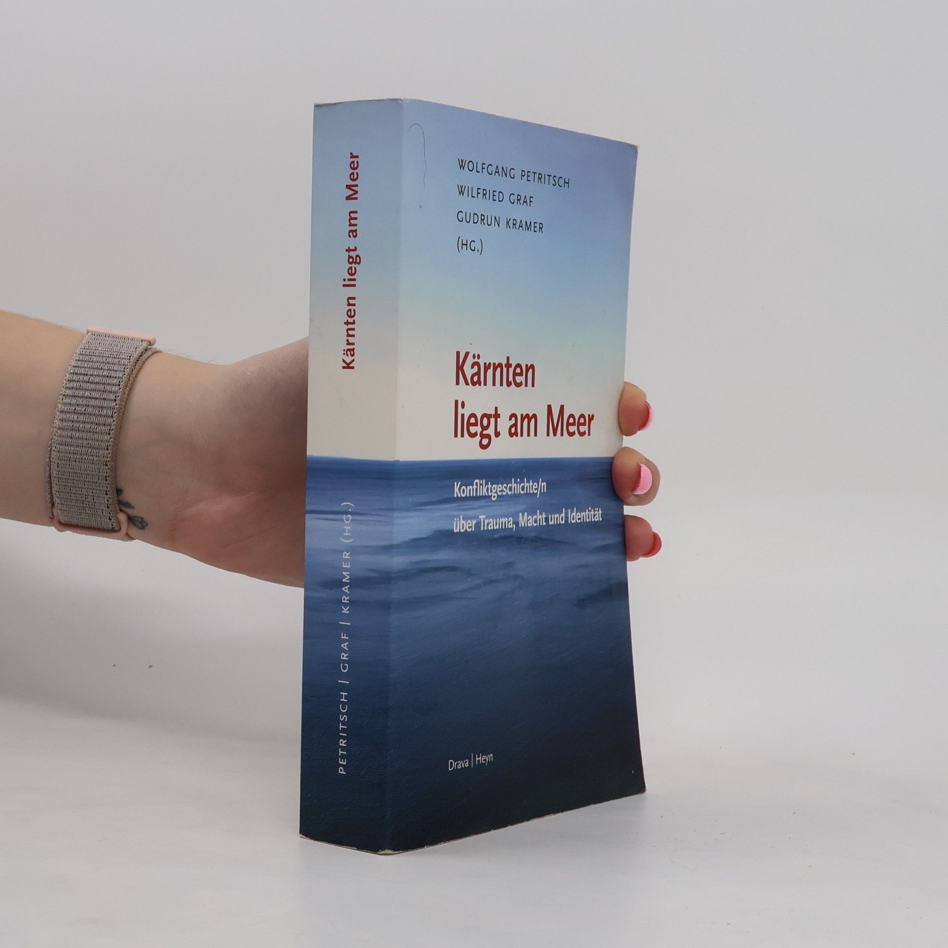 Wolfgang Petritsch Kärnten liegt am Meer