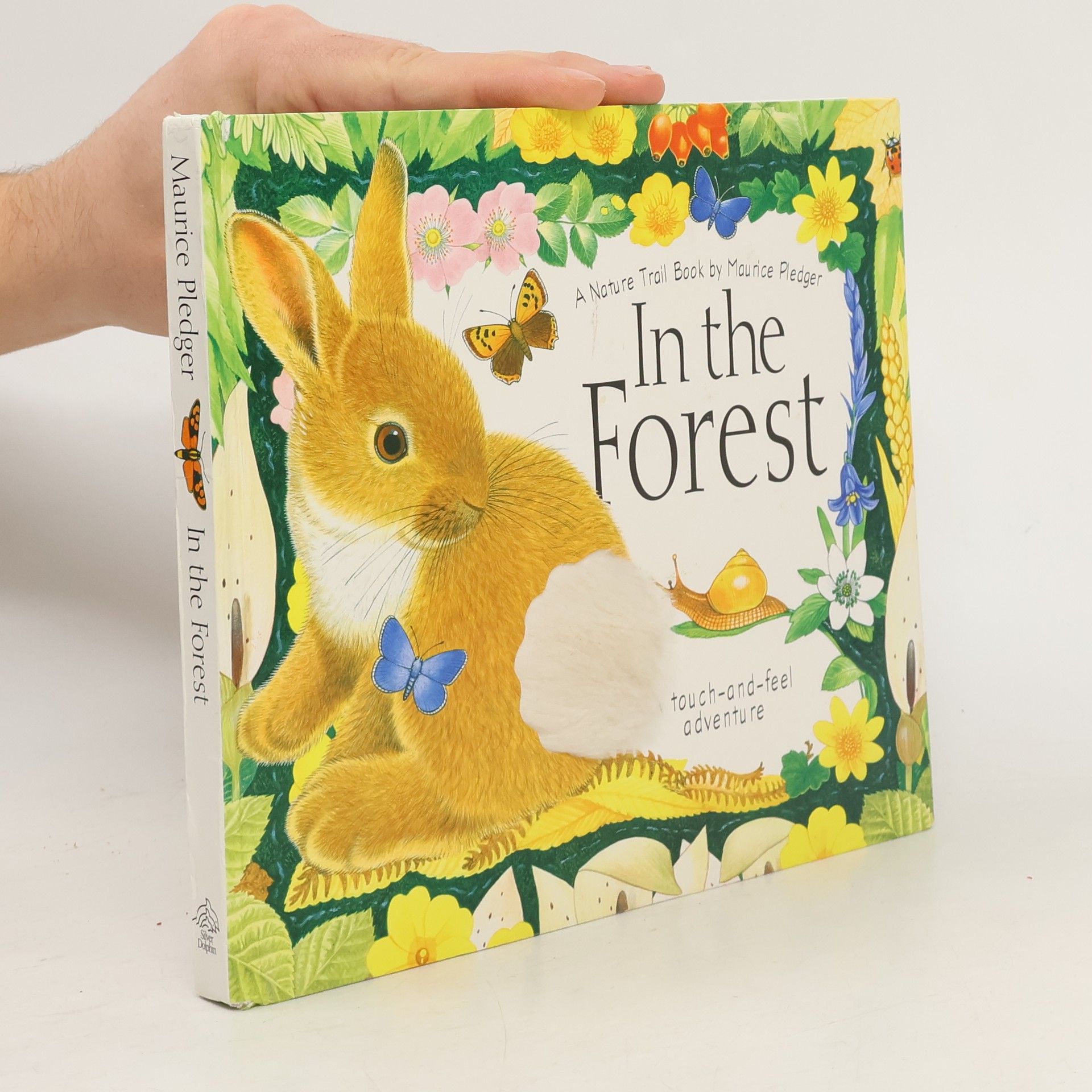 A. J. Wood In The Forest