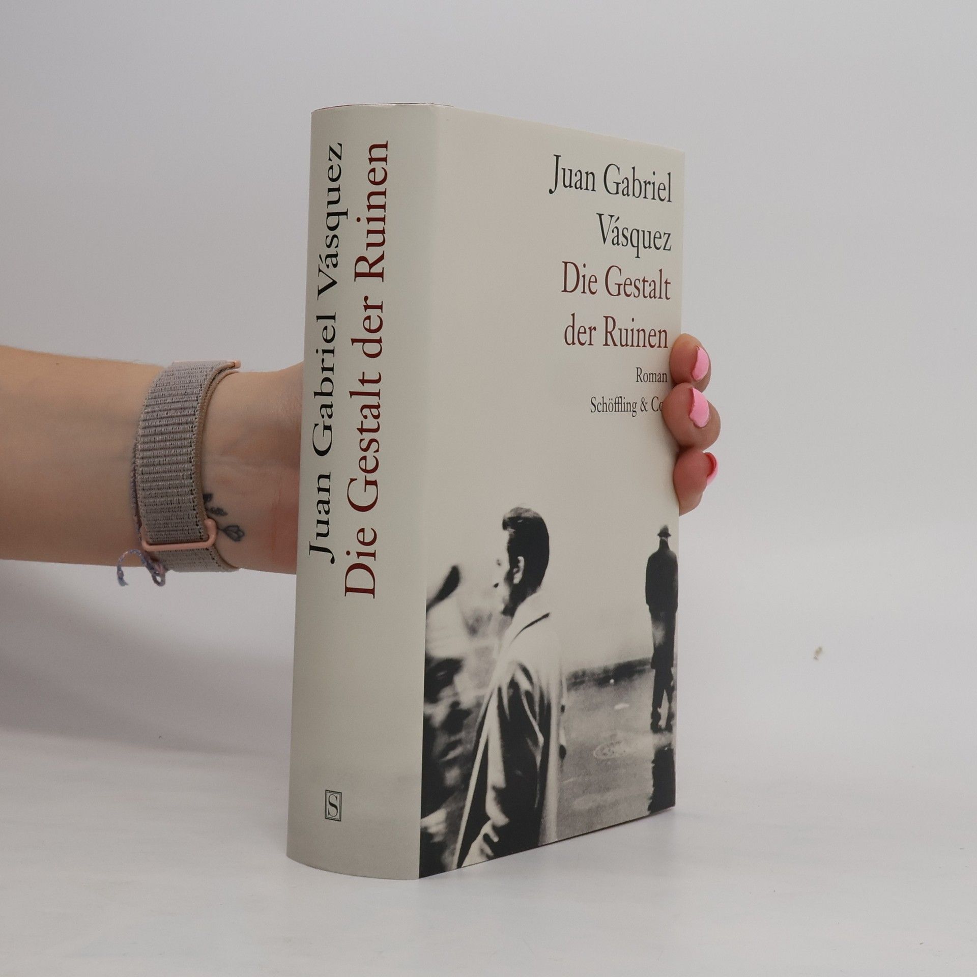 Juan Gabriel Vásquez Die Gestalt der Ruinen