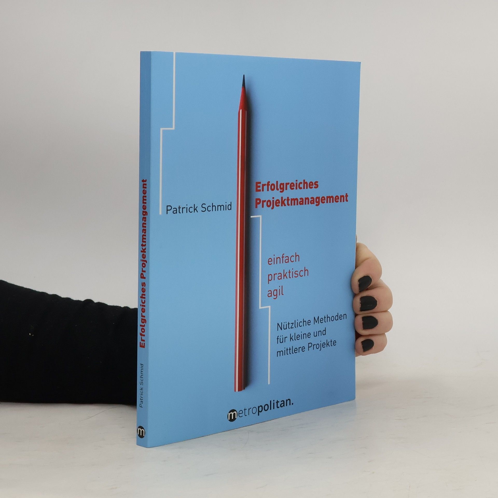 Patrick Schmid Erfolgreiches Projektmanagement