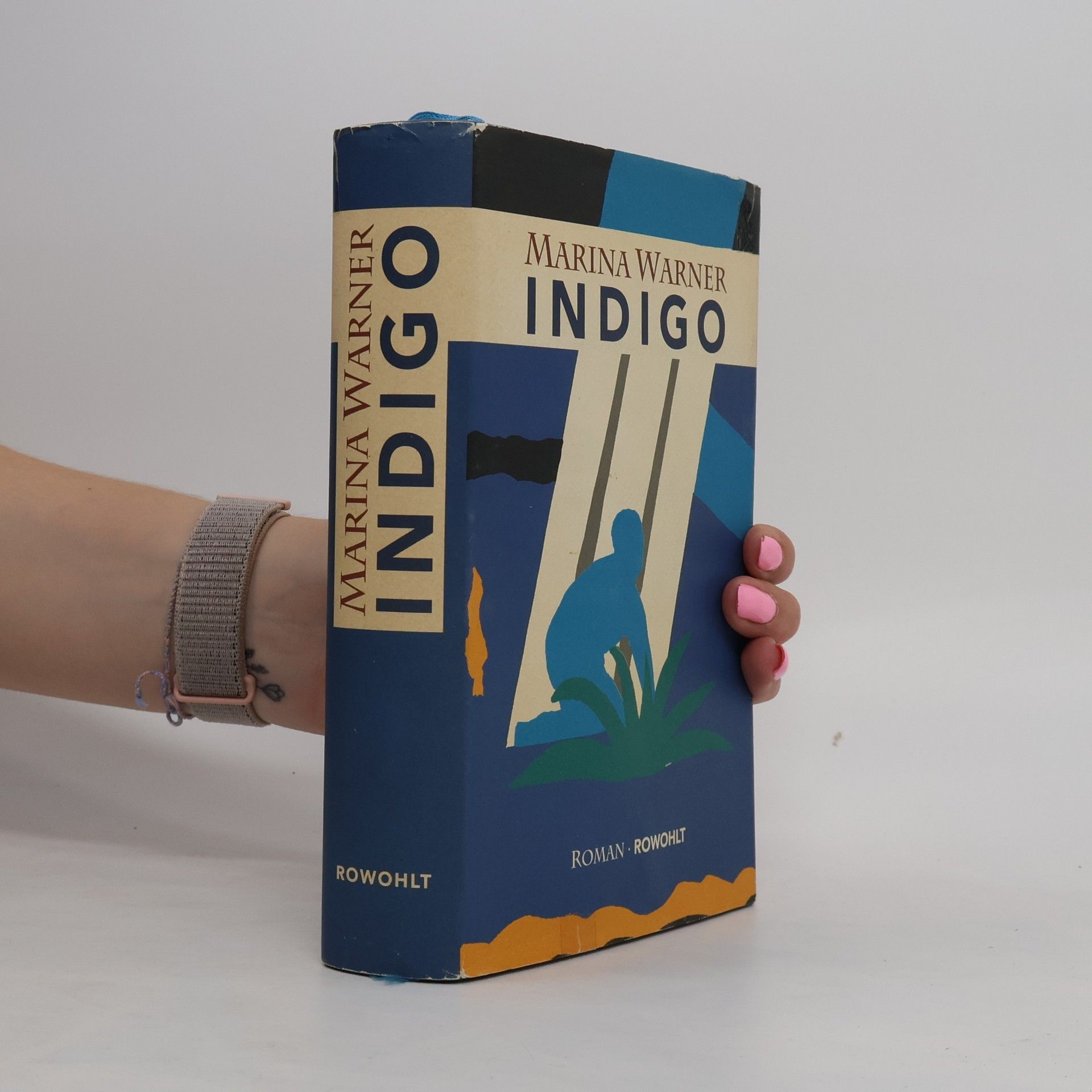 Marina Warner Indigo oder die Vermessung der Wasser