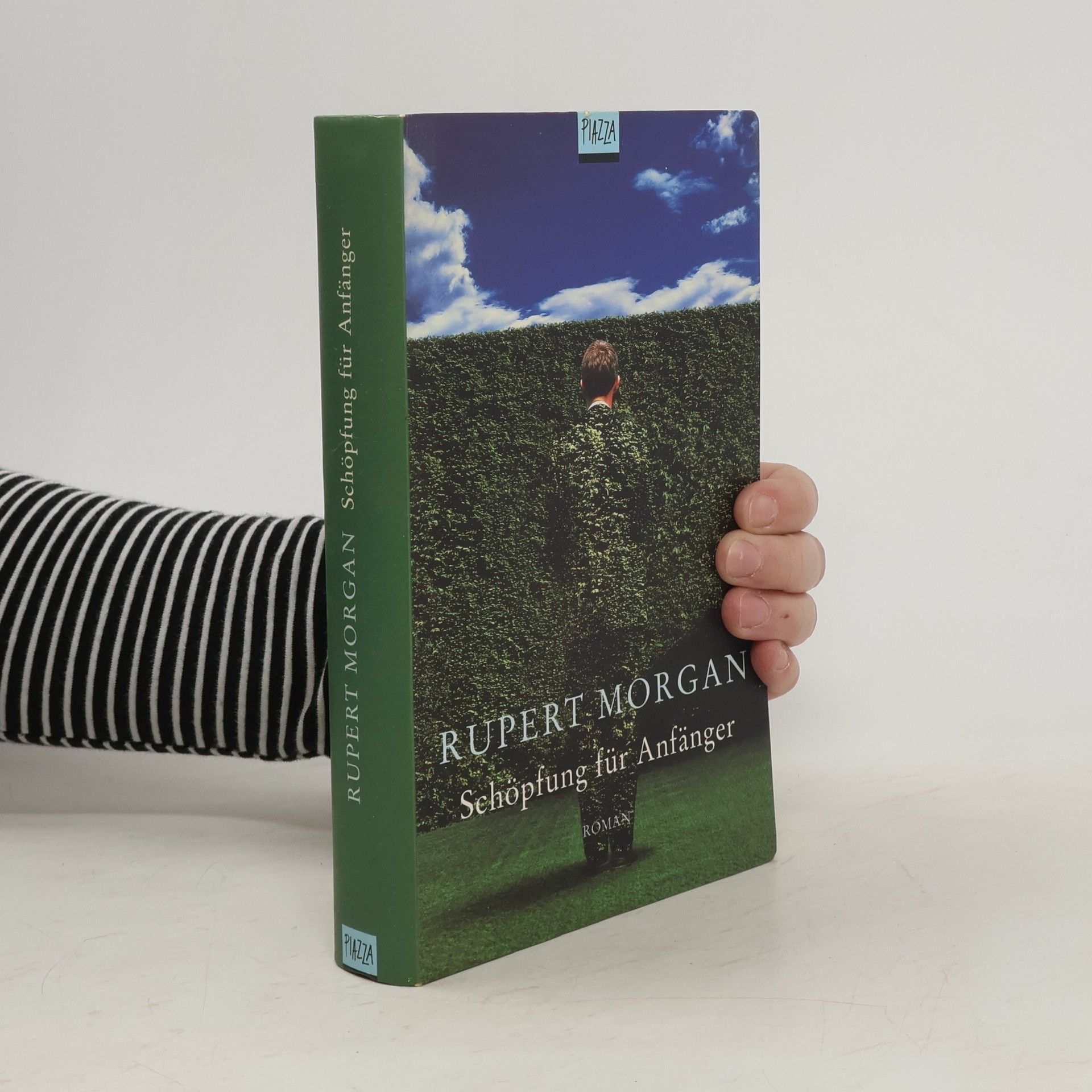 Rupert Morgan Schöpfung für Anfänger