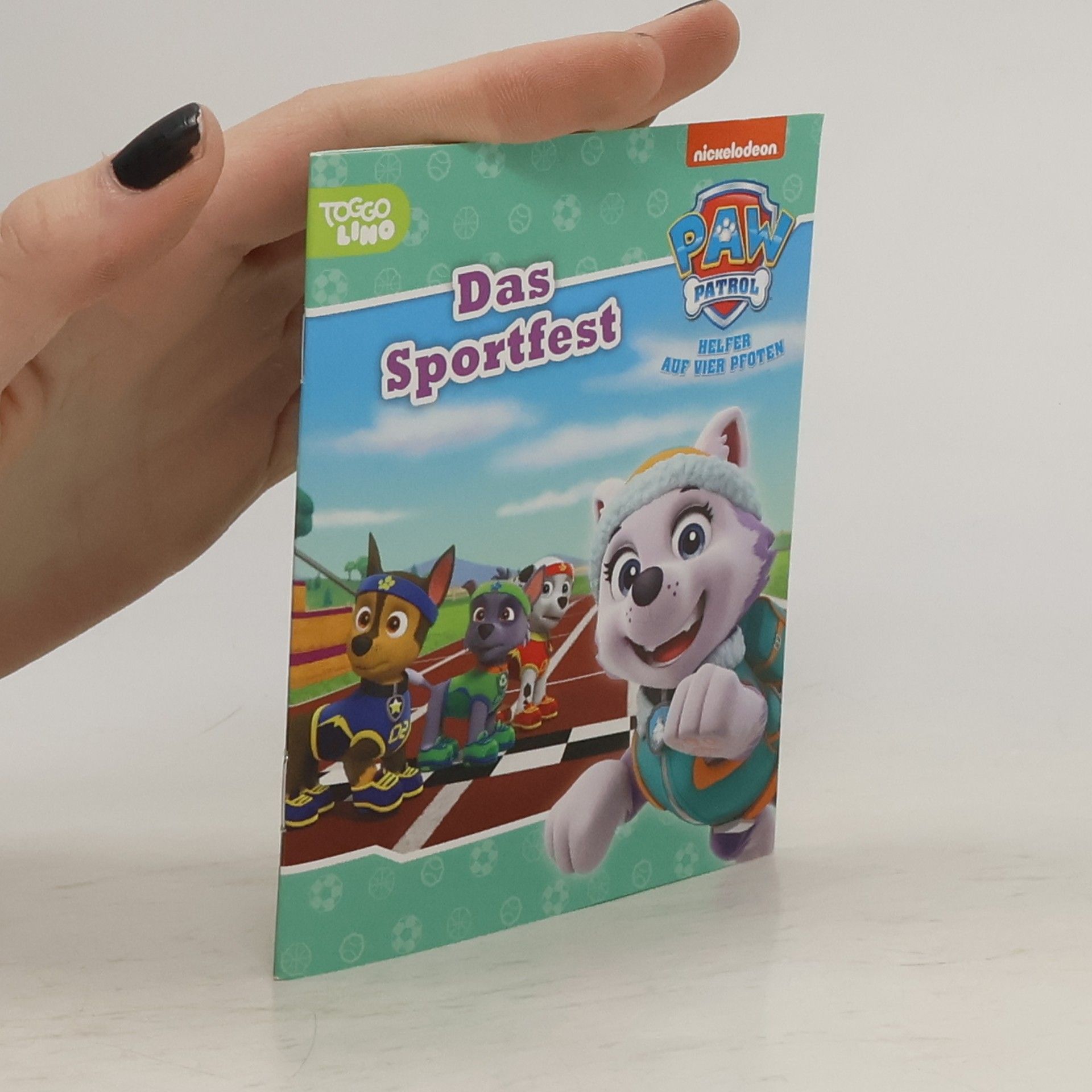 Autorenkollektiv Das Sportfest