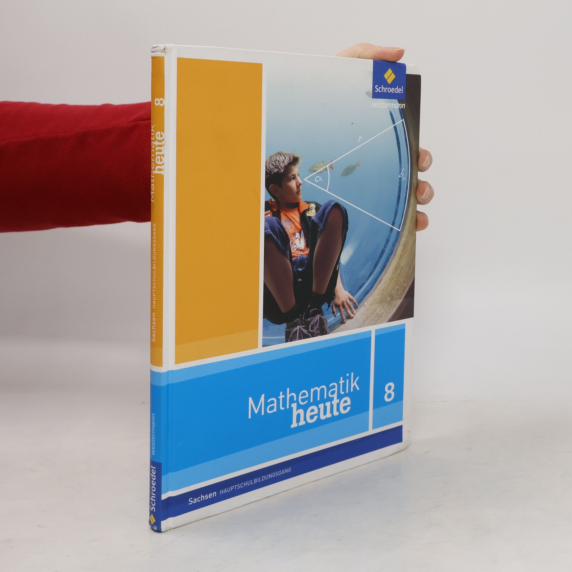 kolektiv 8. Schuljahr, Schülerband (Hauptschulbildungsgang)