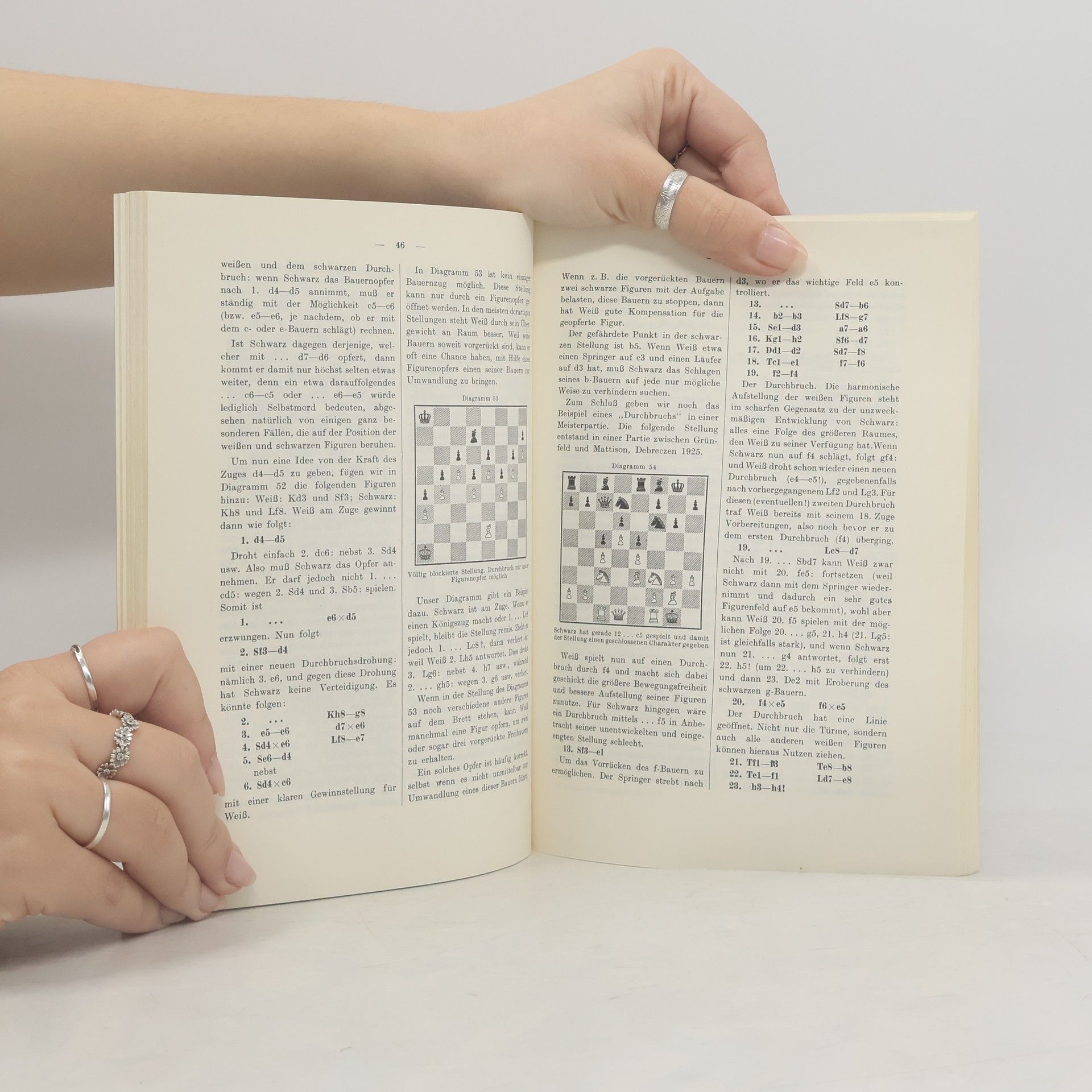 Max Euwe Positions- und Kombinationsspiel im Schach