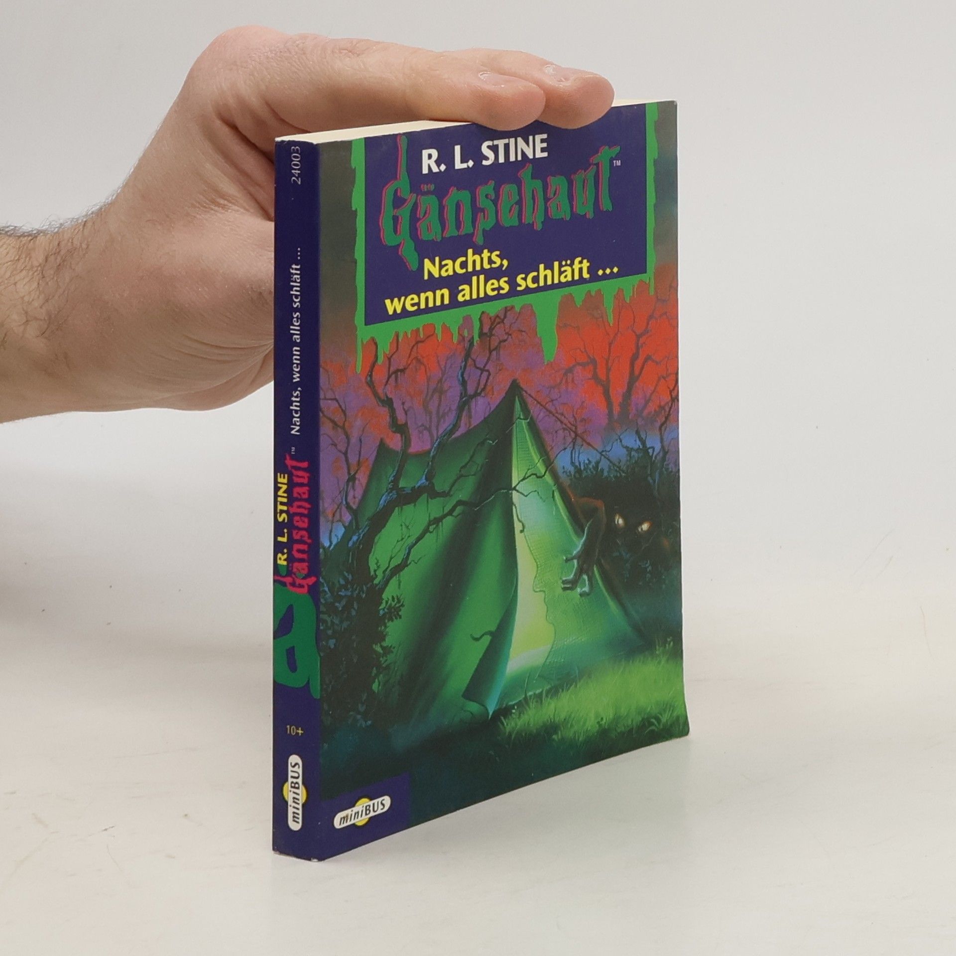 R. L. Stine Nachts, wenn alles schläft