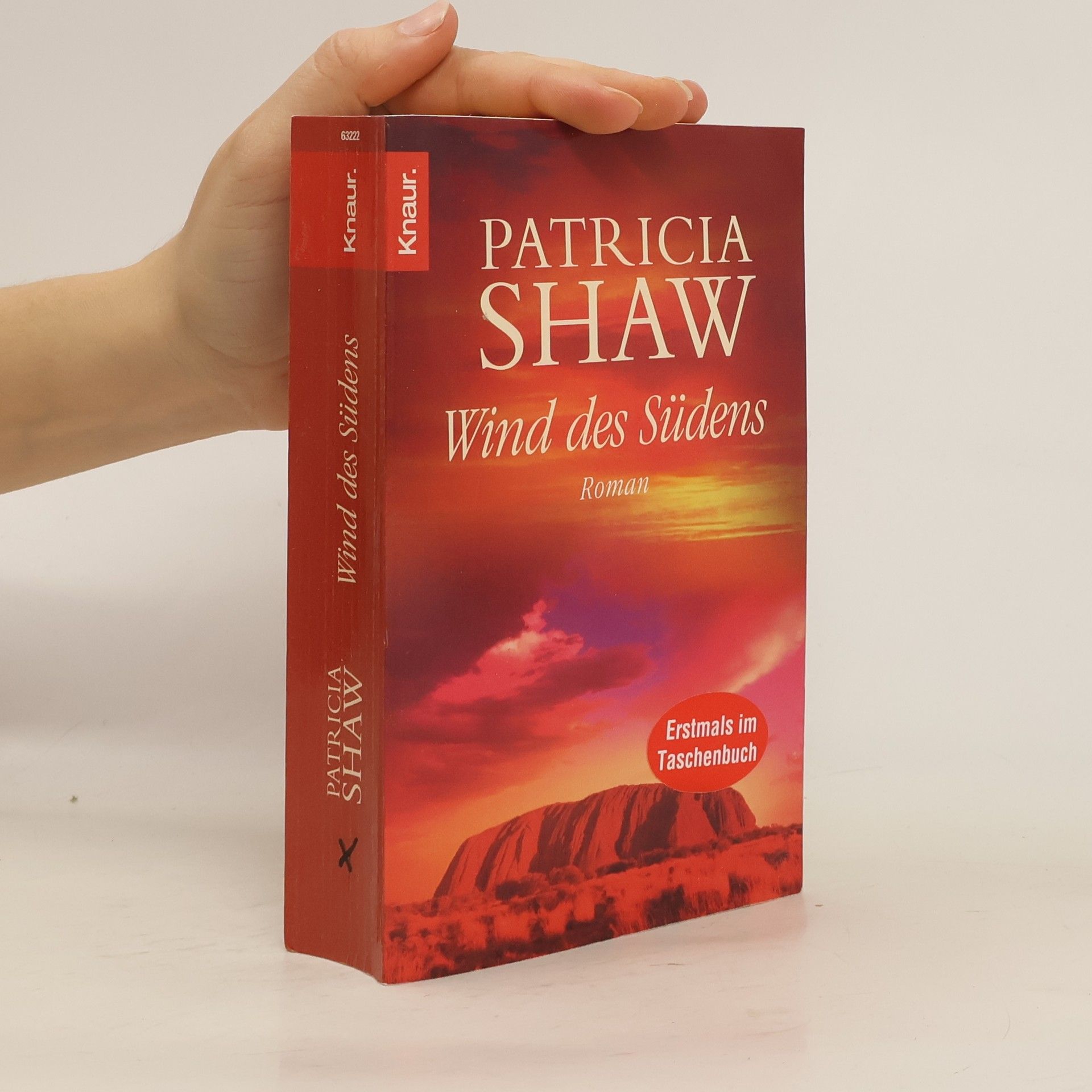 Patricia Shaw Wind des Südens