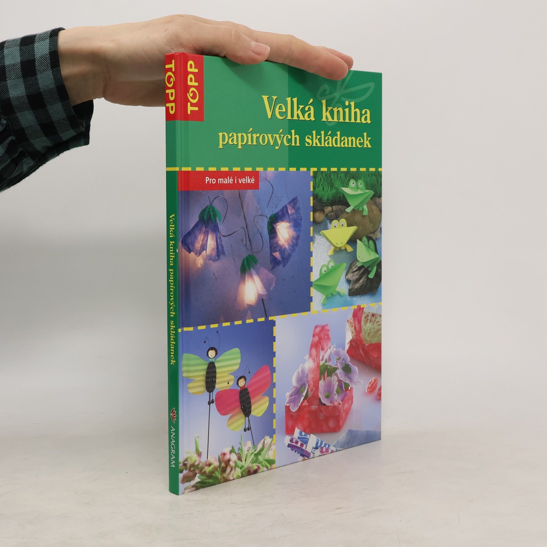 Armin Täubner Velká kniha papírových skládanek. Pro malé i velké