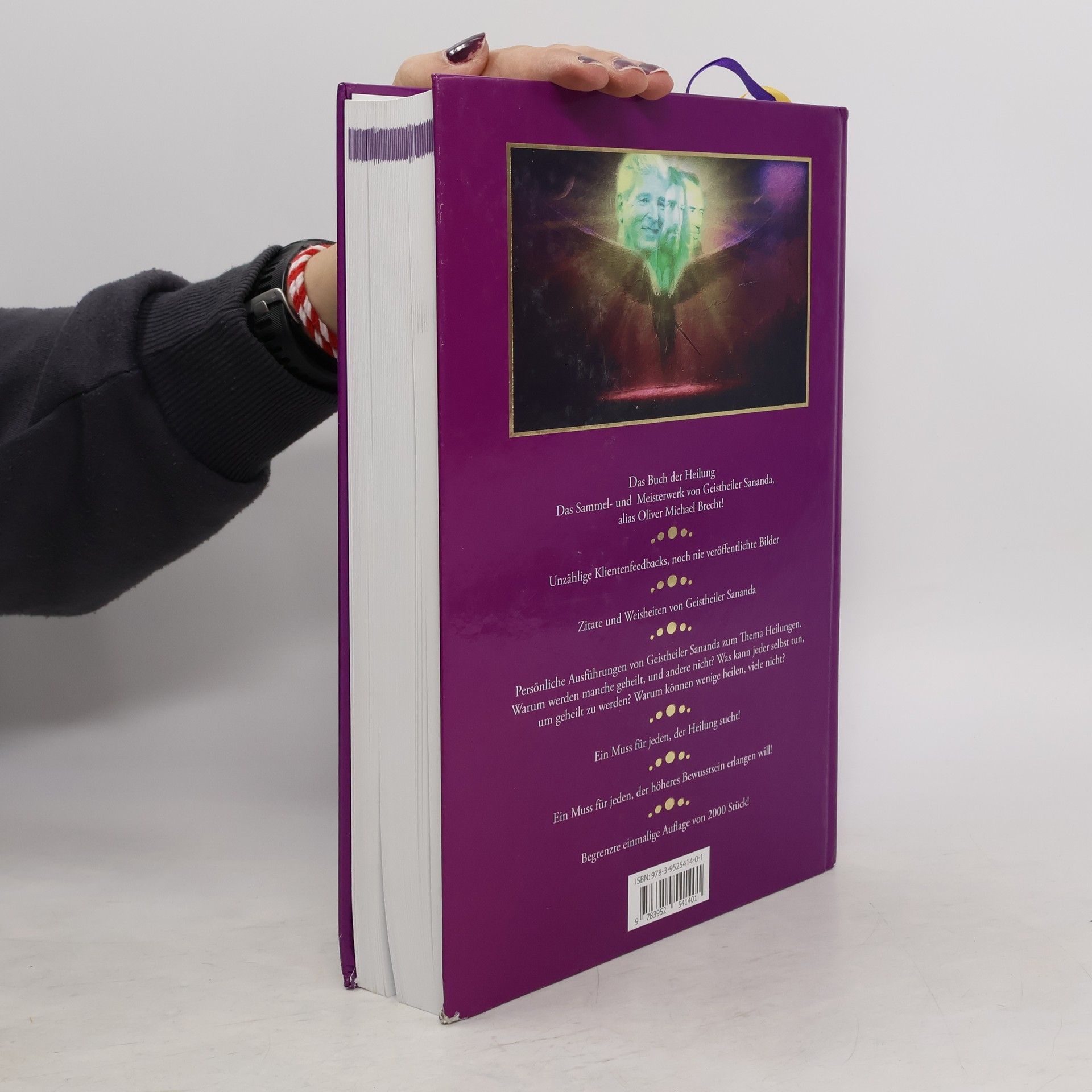 Oliver Michael Brecht Geistheiler Sananda: Buch der Heilung