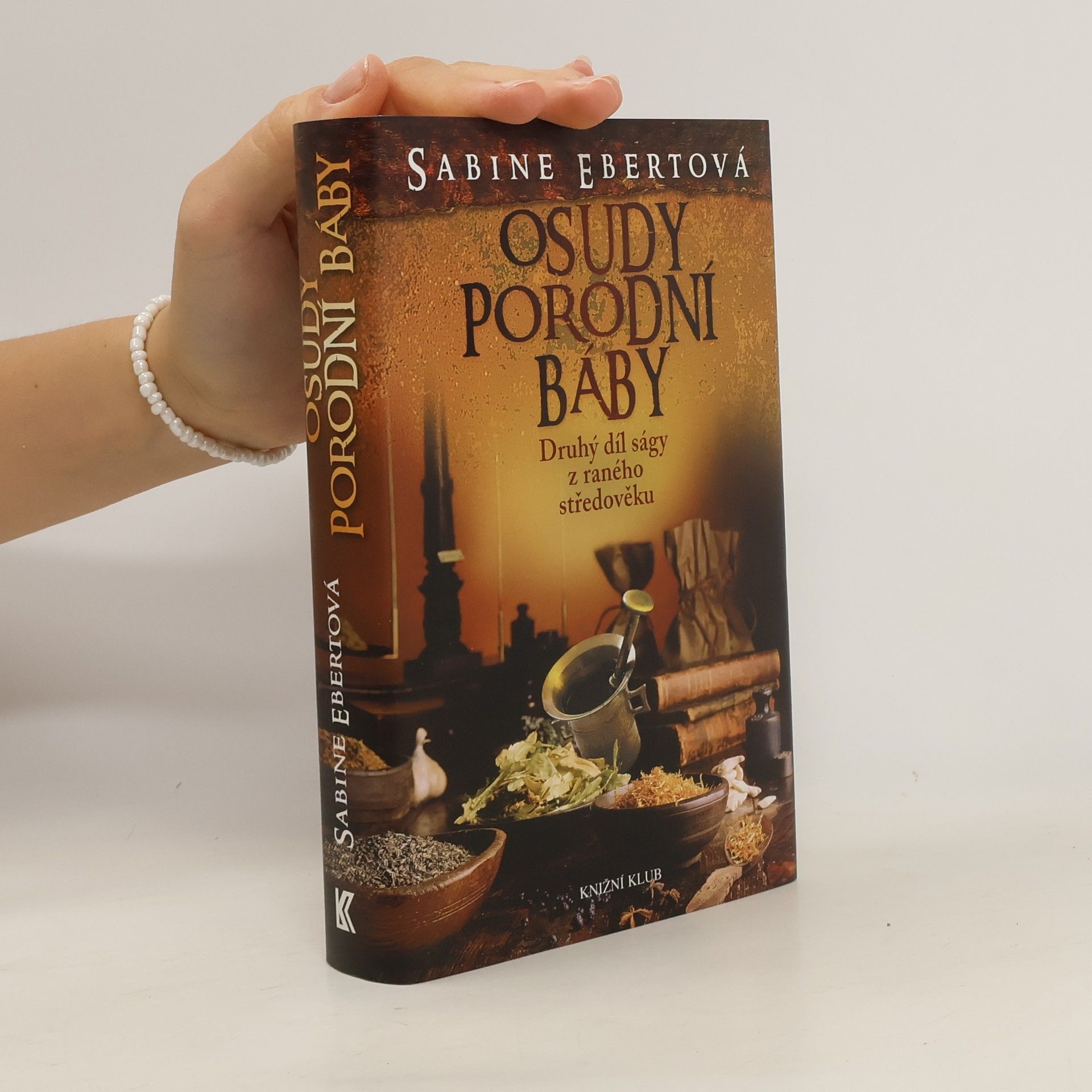 Sabine Ebert Osudy porodní báby