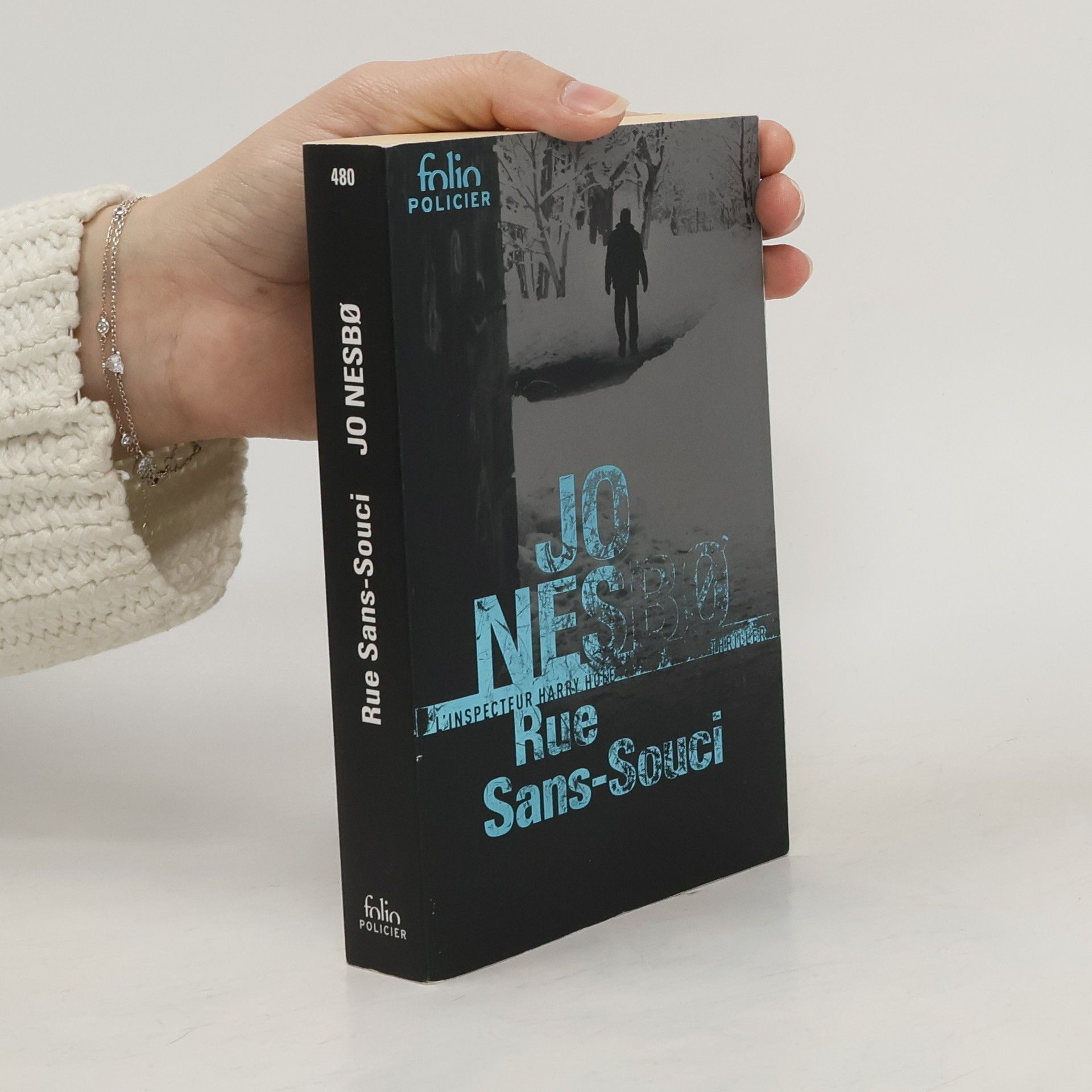 Jo Nesbø Rue Sans-Souci: Une enquete de l´inspecteur Harry Hole