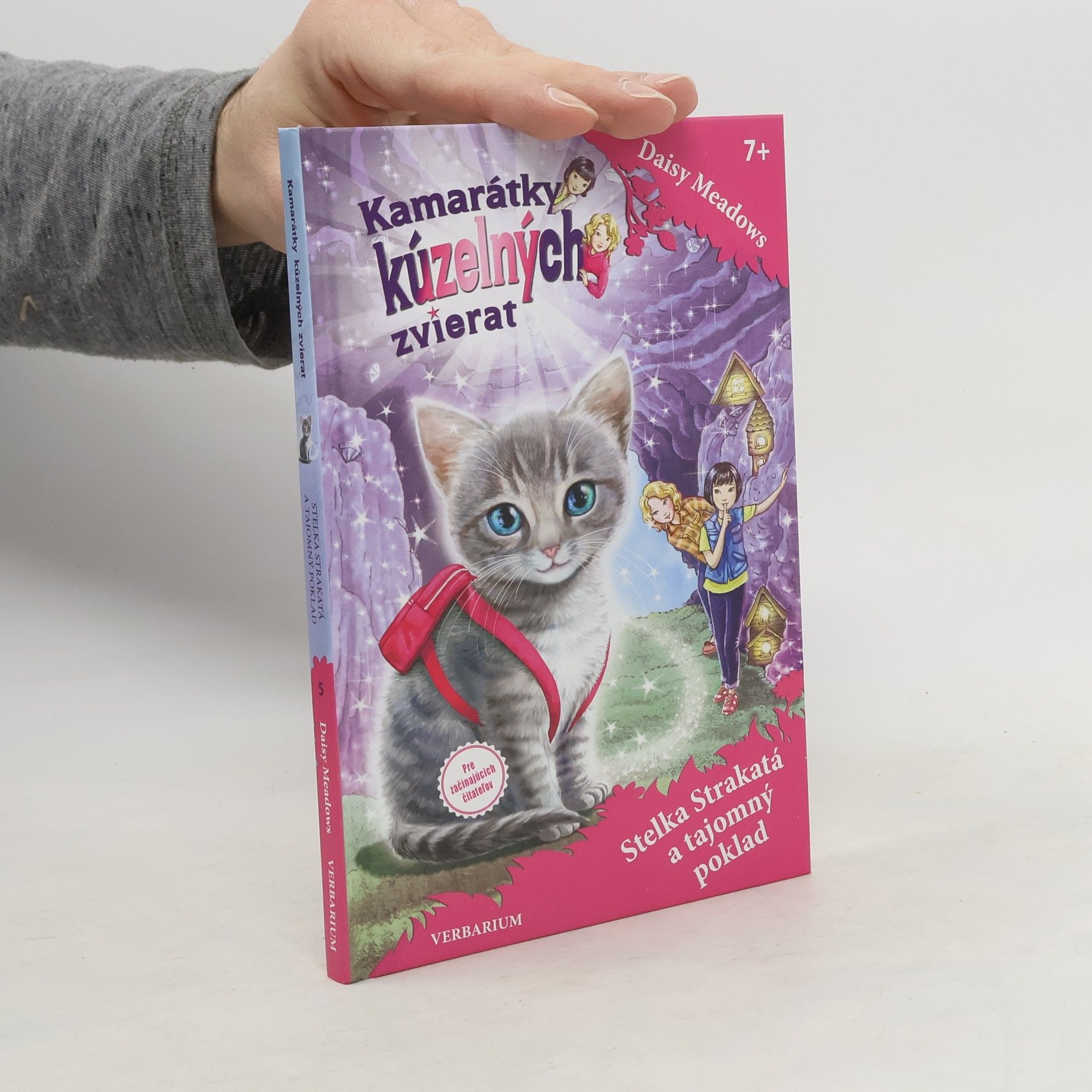 Daisy Meadows Stelka Strakatá a tajomný poklad