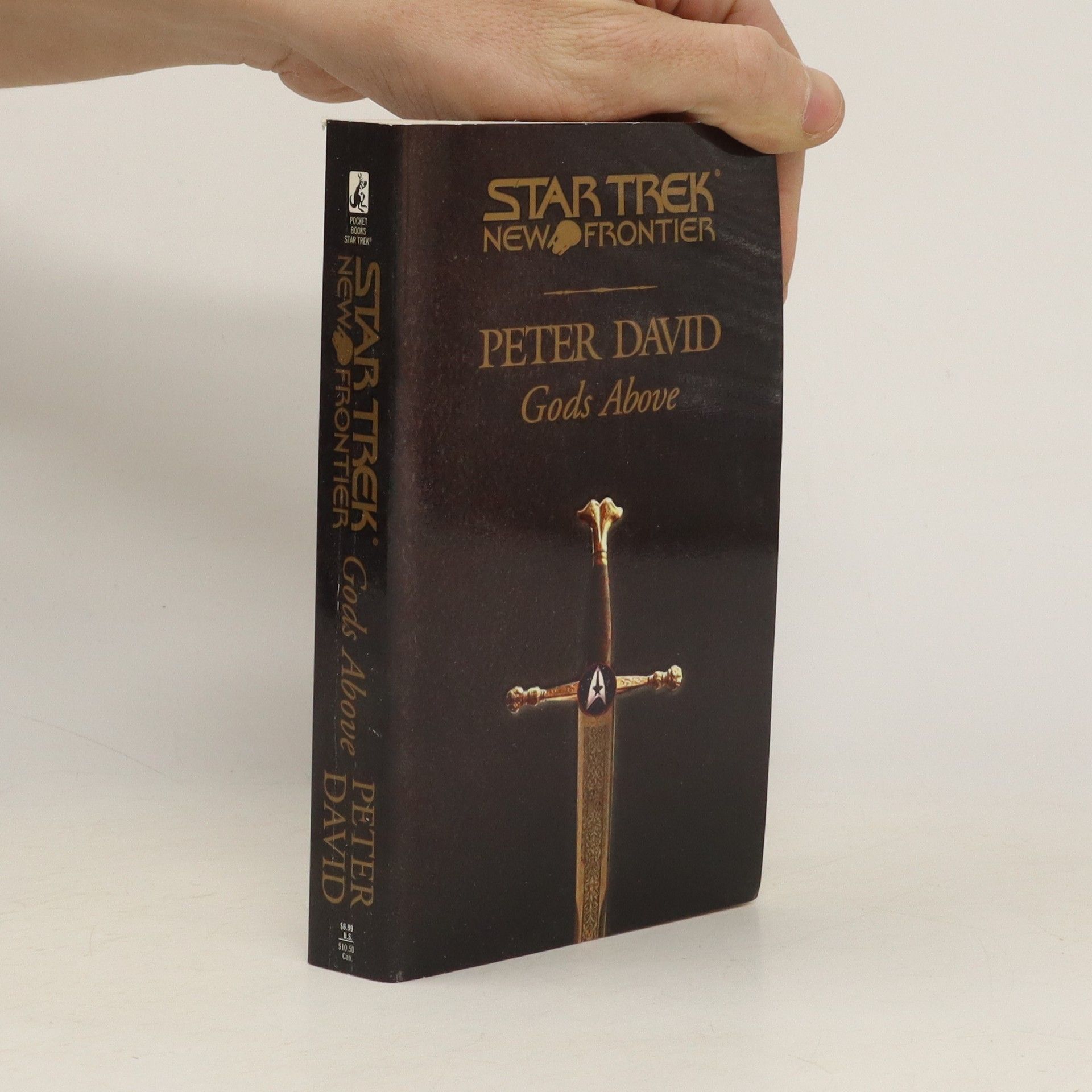Peter David Star Trek: New Frontier. Gods Above