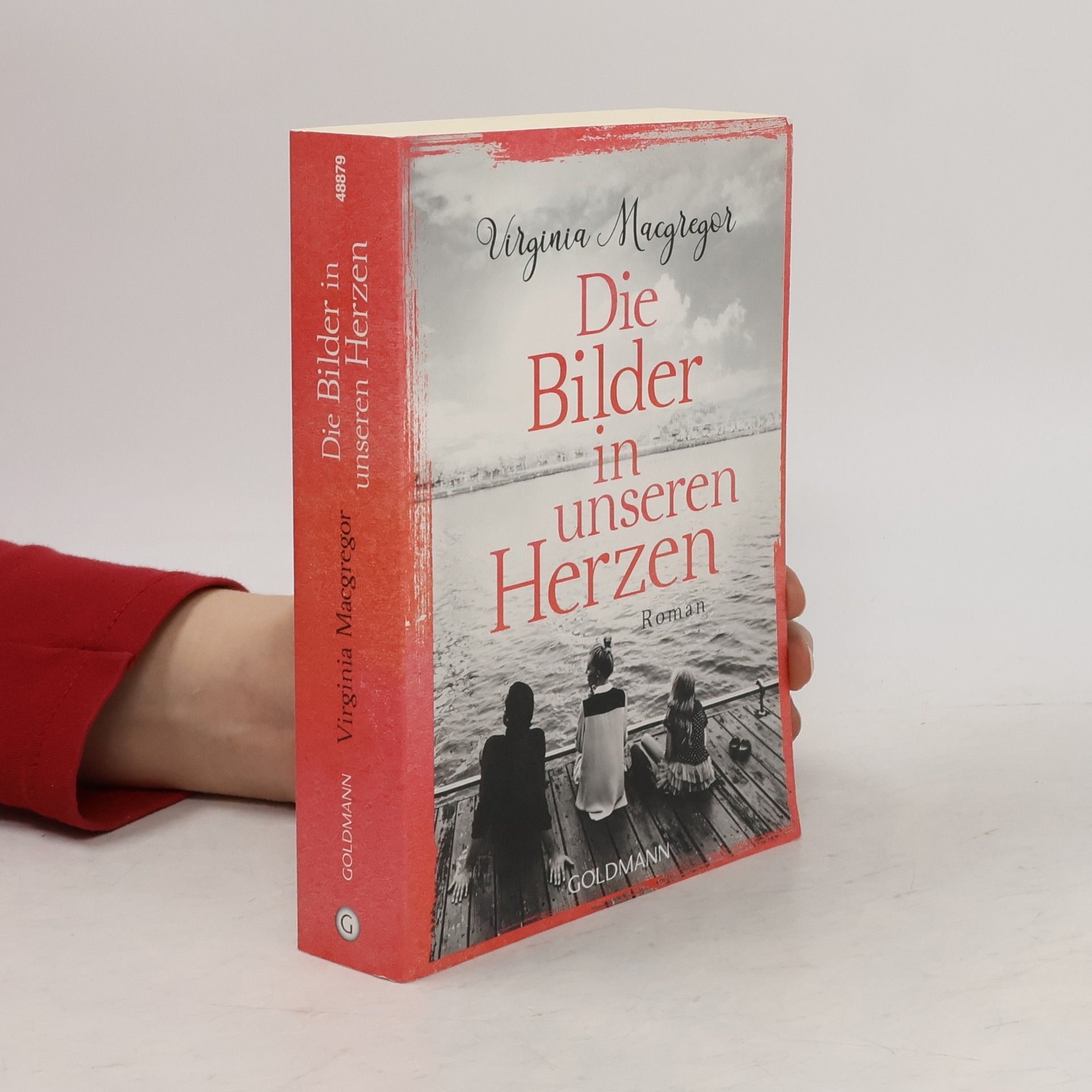 Virginia Macgregor Die Bilder in unseren Herzen