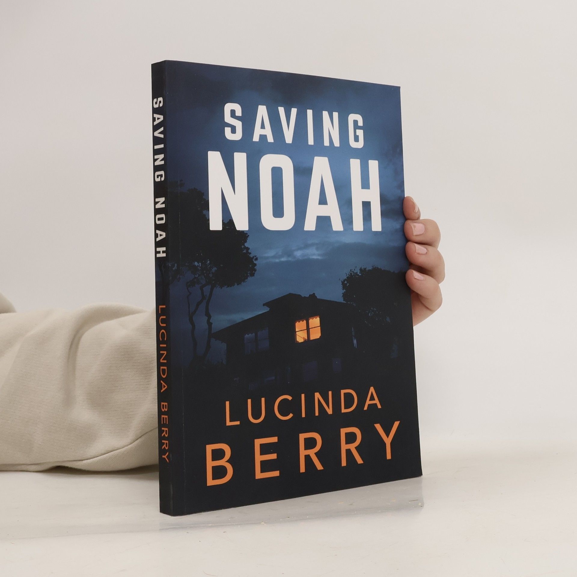 Lucinda Berry Saving Noah