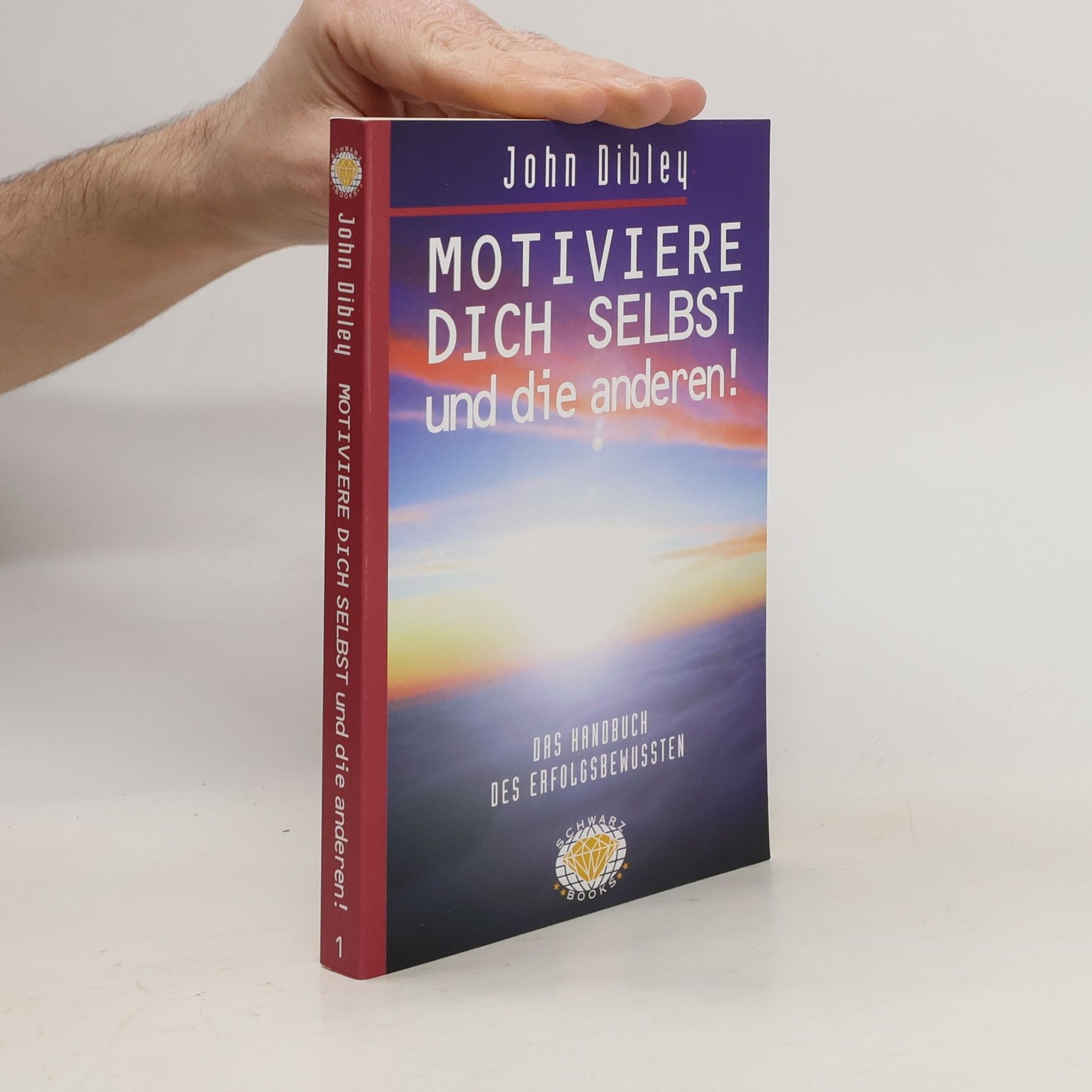 John Dibley Motiviere dich selbst und die anderen!