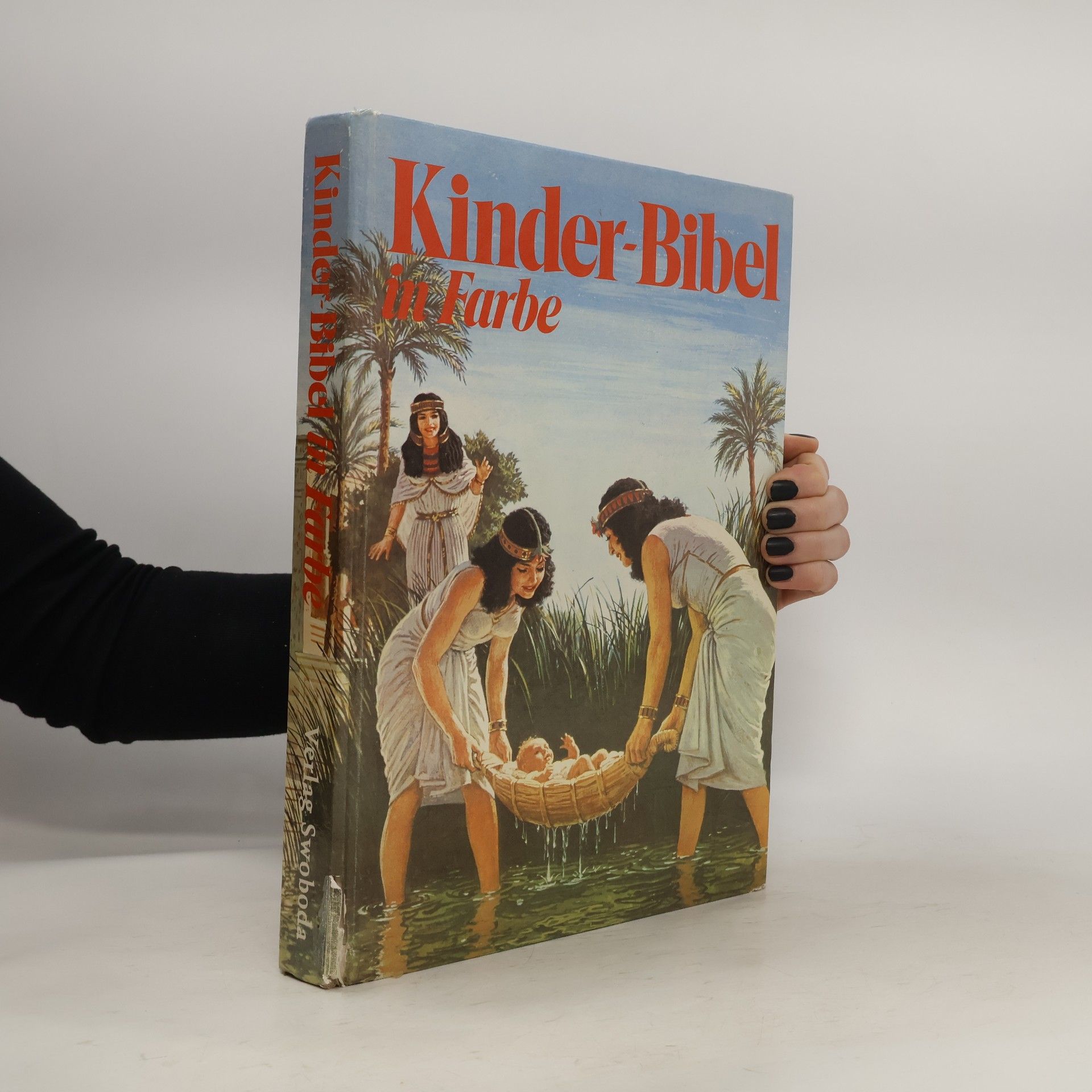 Collectif d'auteurs Kinder-Bibel in Farbe