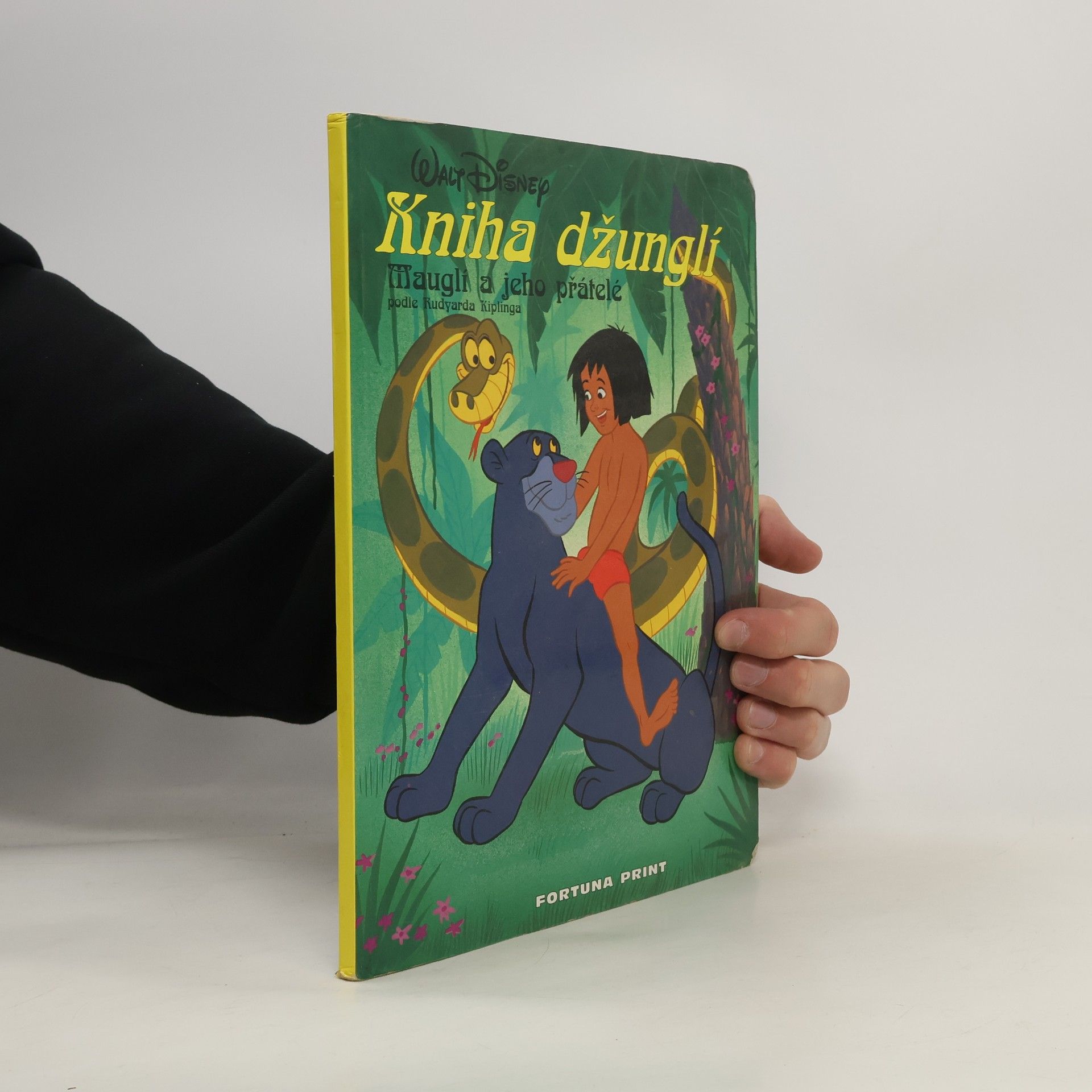 Rudyard Kipling Kniha džunglí. Mauglí a jeho přátelé