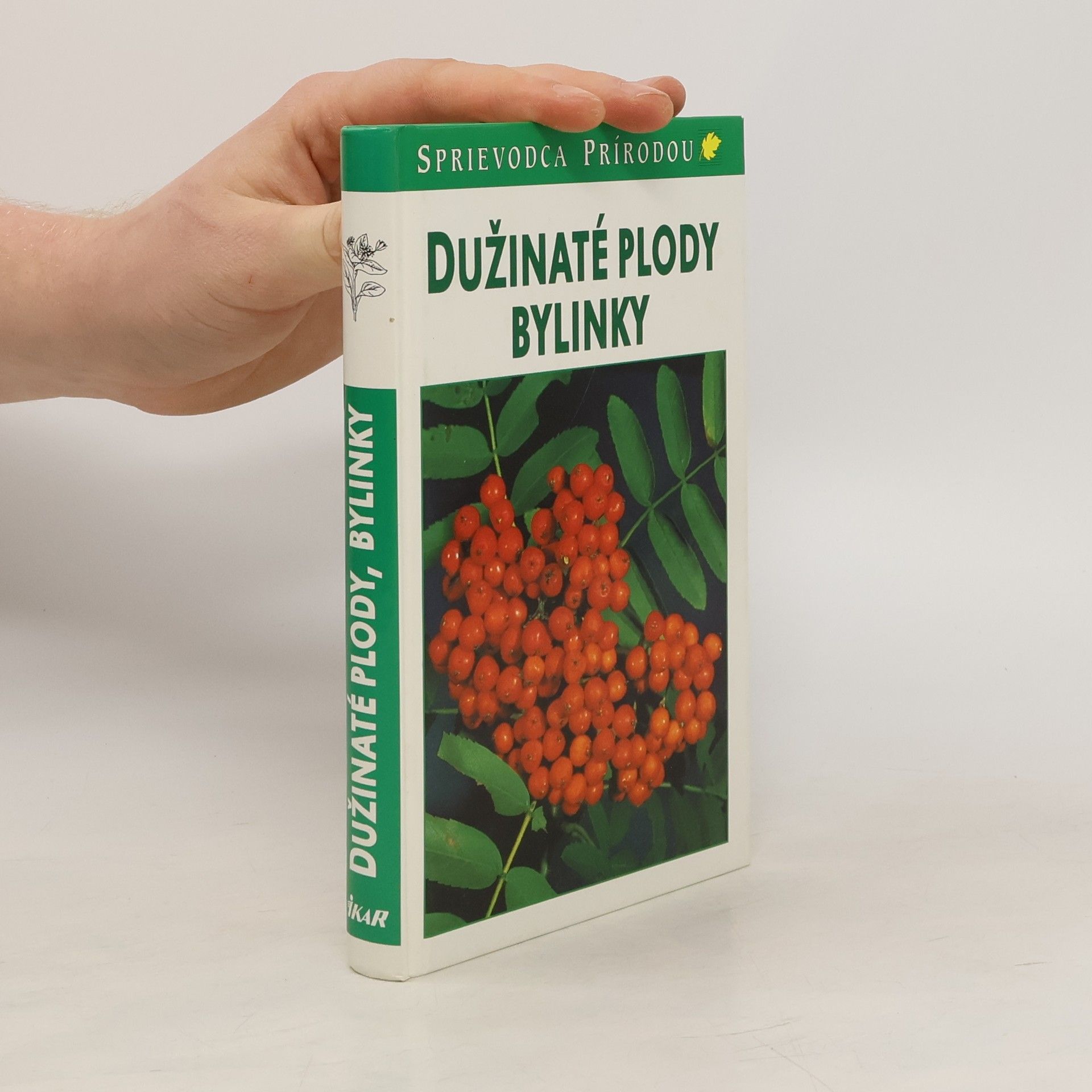 Collectif d'auteurs Dužinaté plody, bylinky