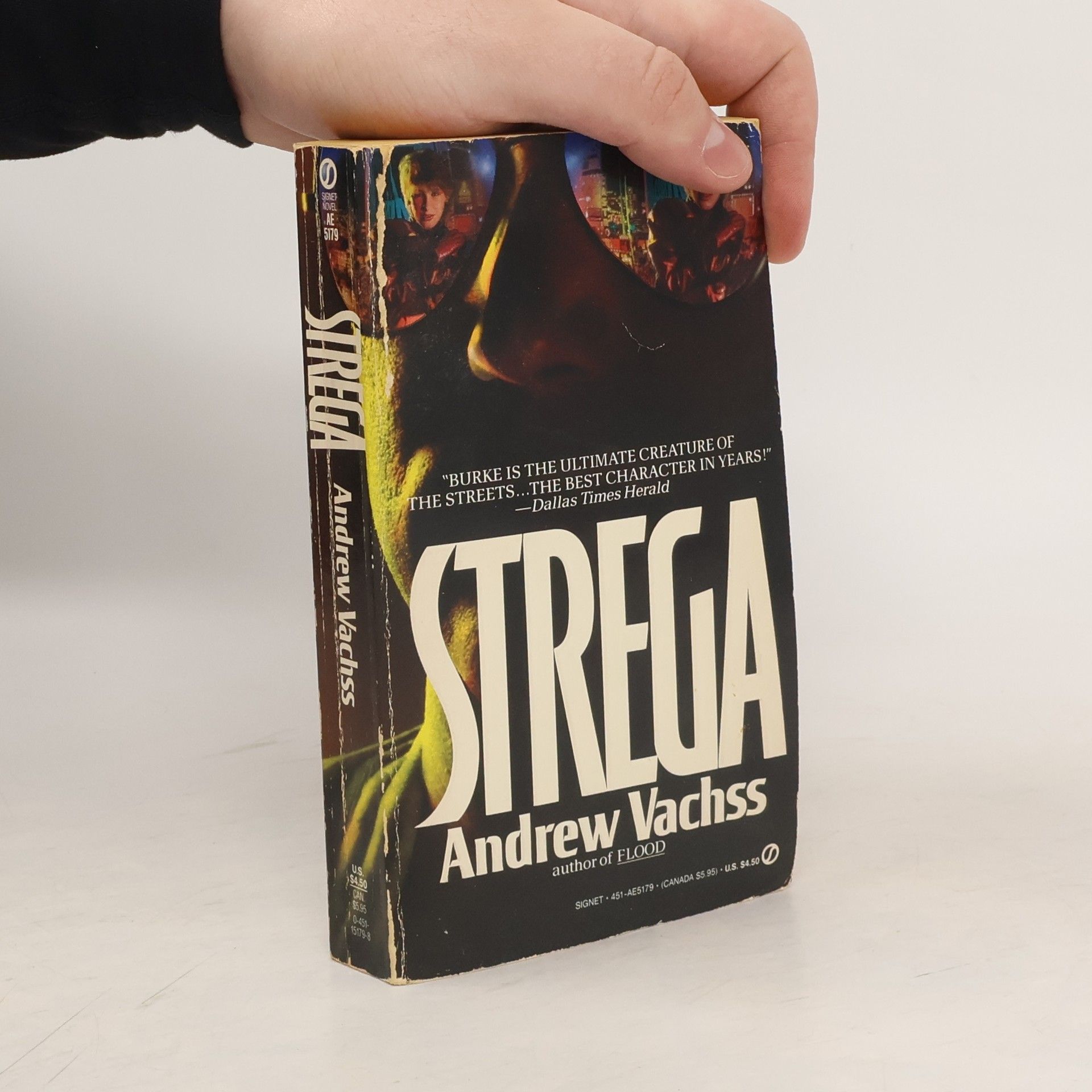 Andrew H. Vachss Strega