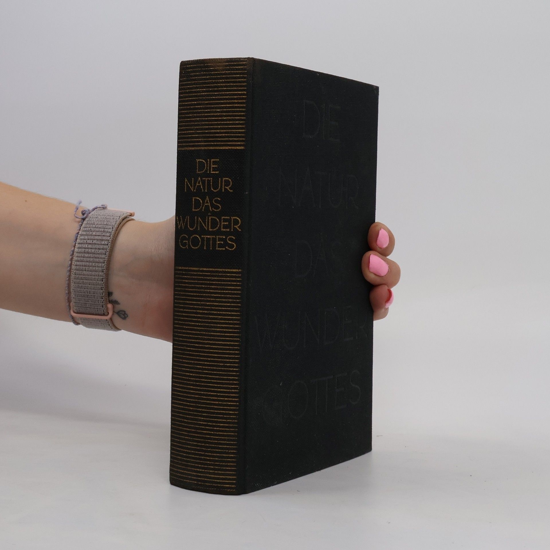 Collectif d'auteurs Die Natur. Das Wunder Gottes