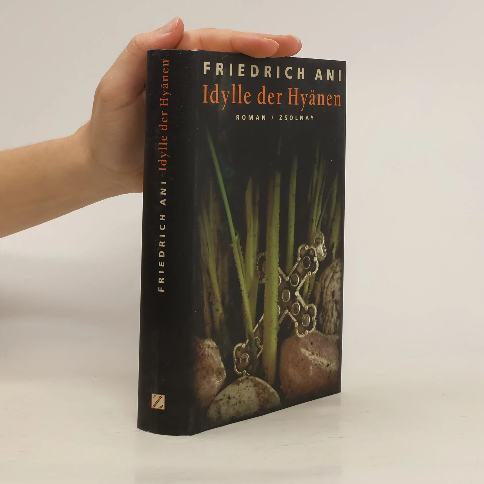 Idylle der Hyänen | Book | Friedrich Ani | DE
