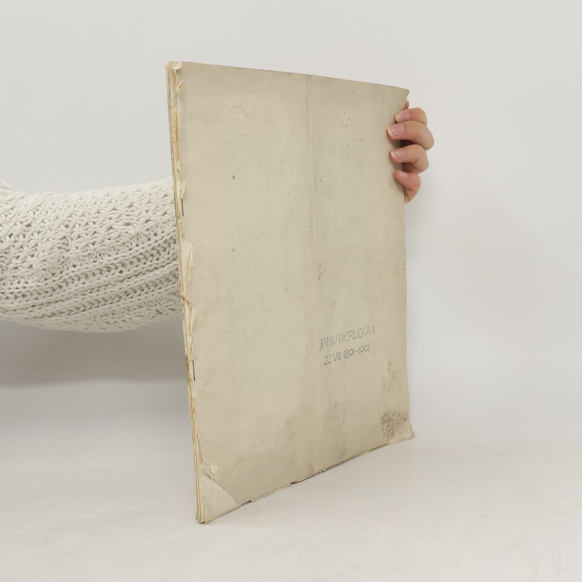 Collectif d'auteurs Janu Nerudovi. 22. VIII. 1891-1901