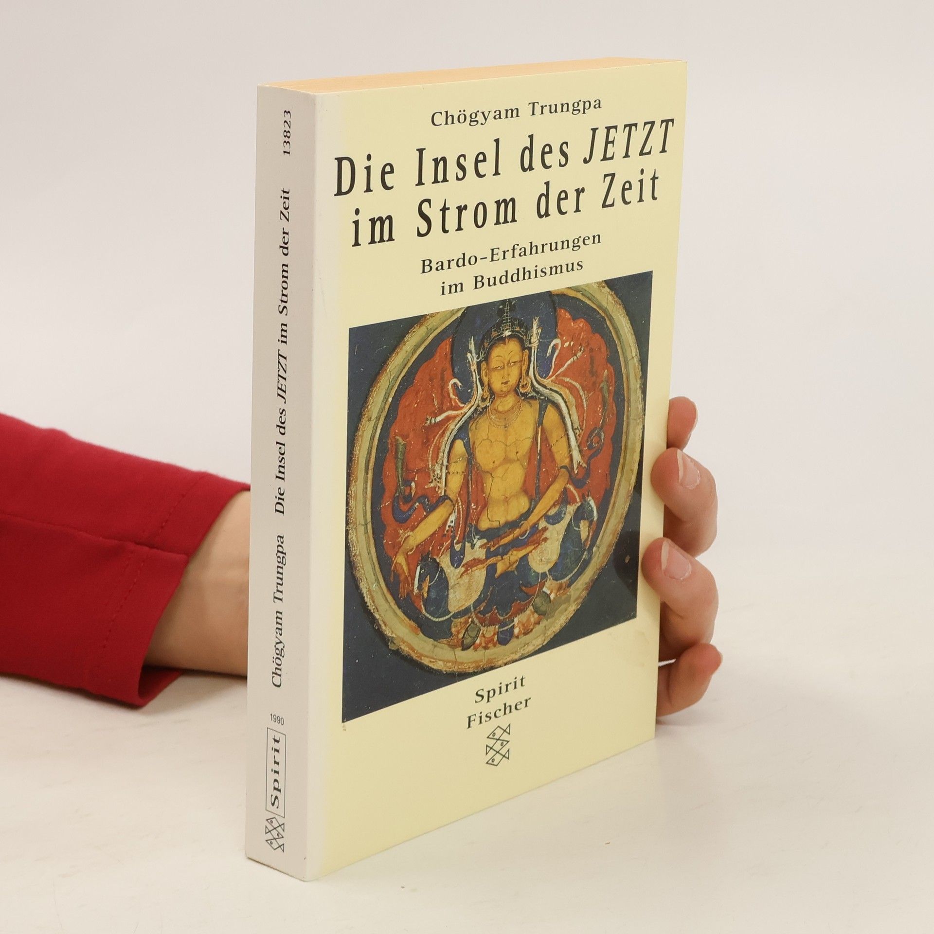 Čhögjam Trungpa Die Insel des Jetzt im Strom der Zeit