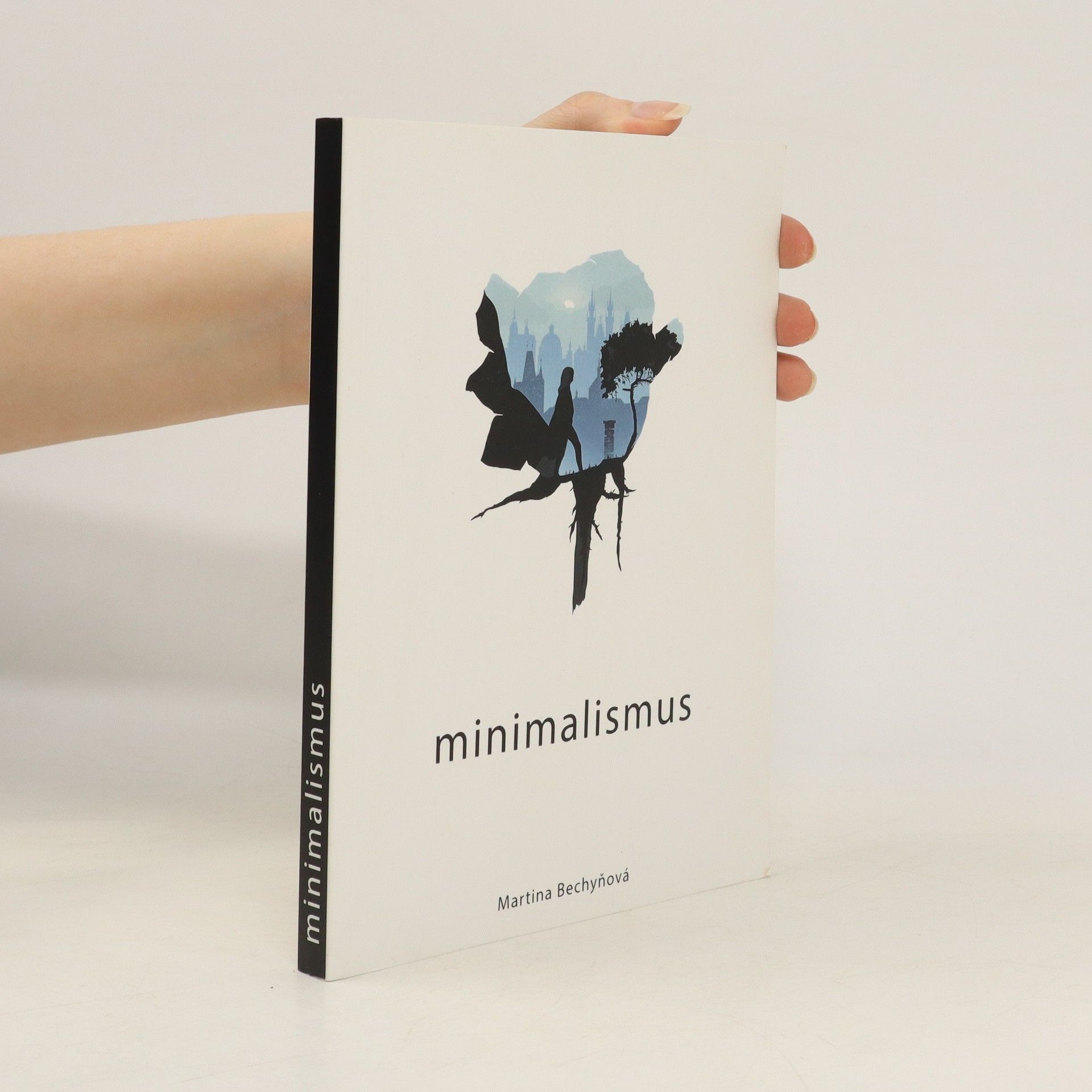 Martina Bechyňková Minimalismus