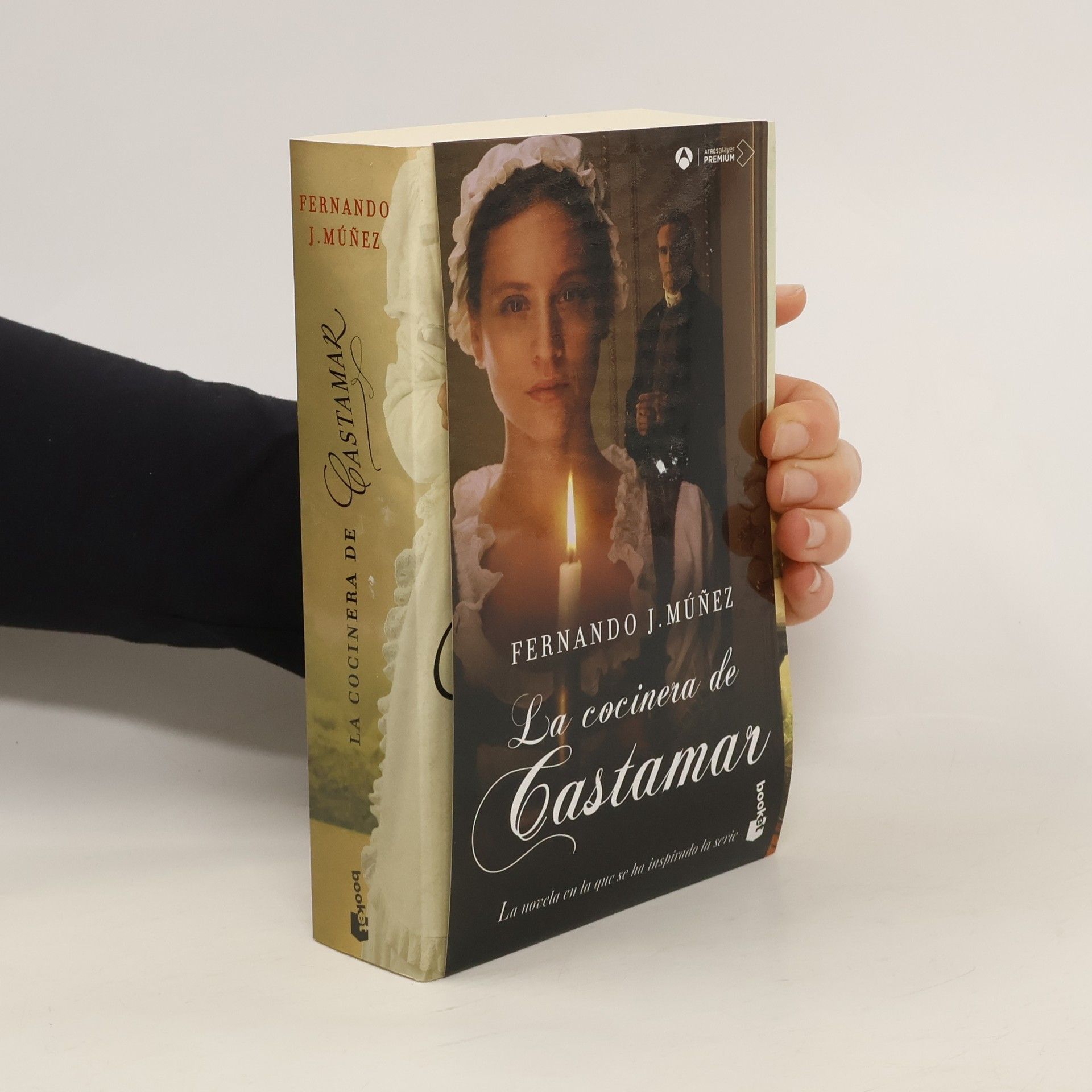 Fernando J. Múňez La cocinera de Castamar