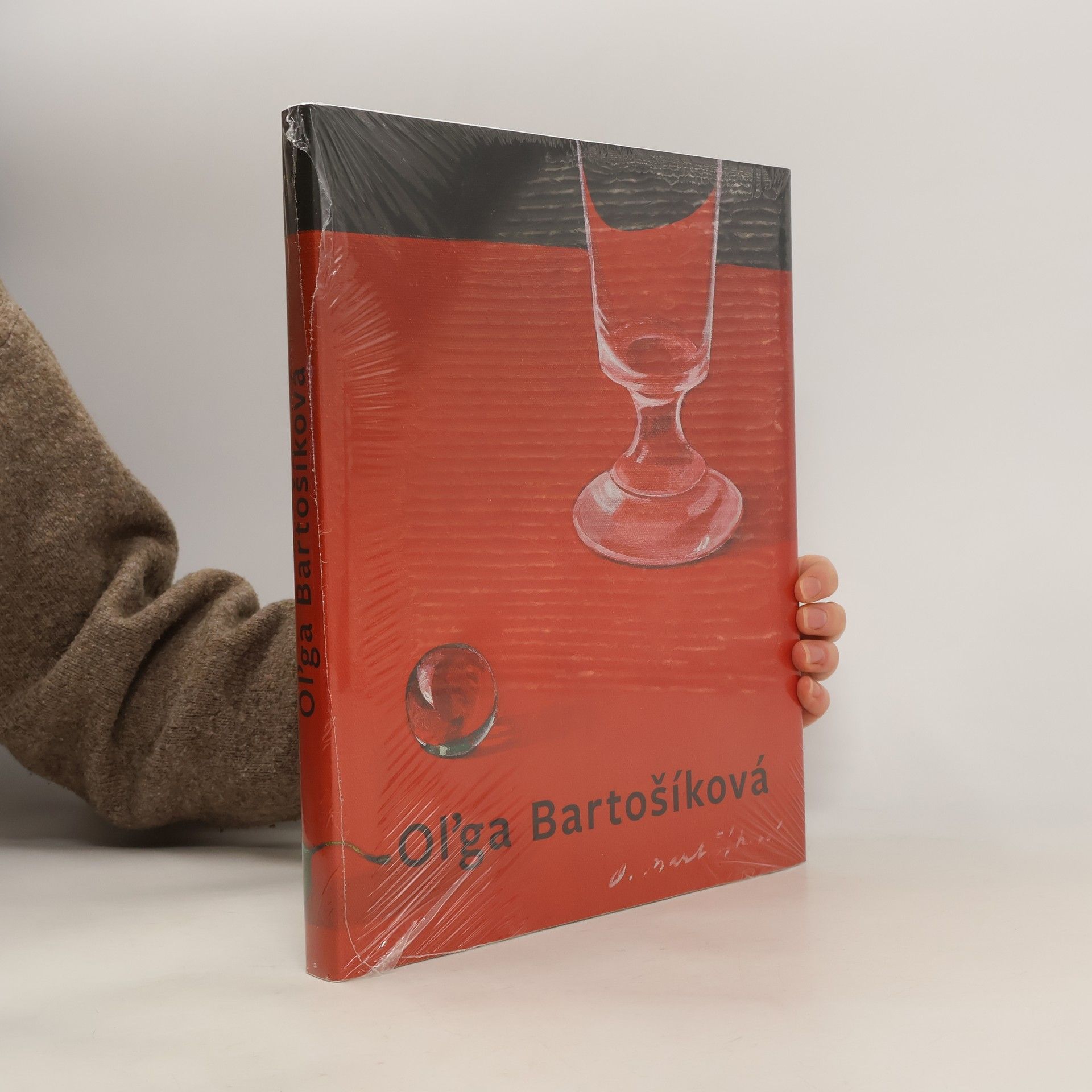 Štefan Zajíček Oľga Bartošíková