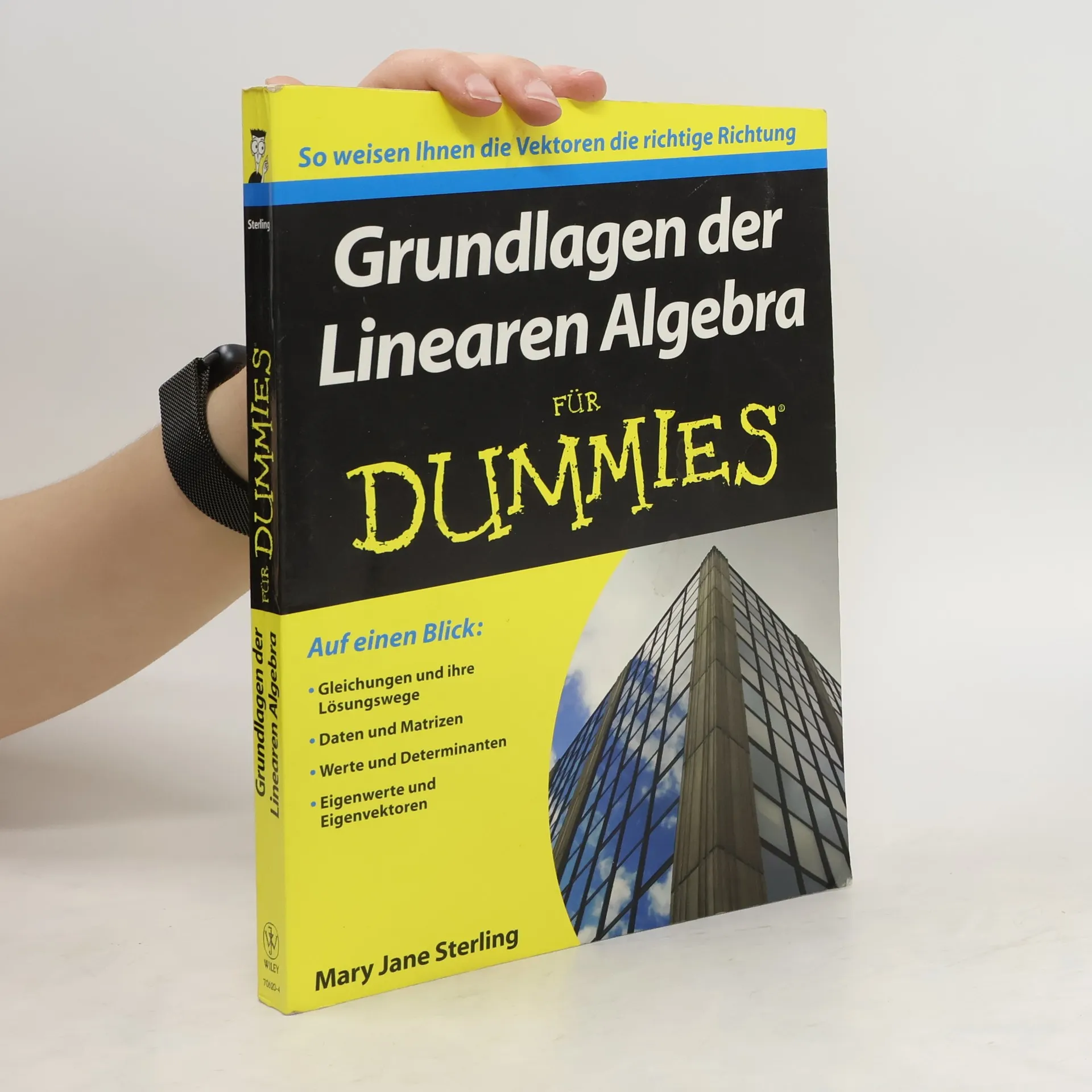 Grundlagen der Linearen Algebra für Dummies | Buch | Paperback | Mary Jane Sterling