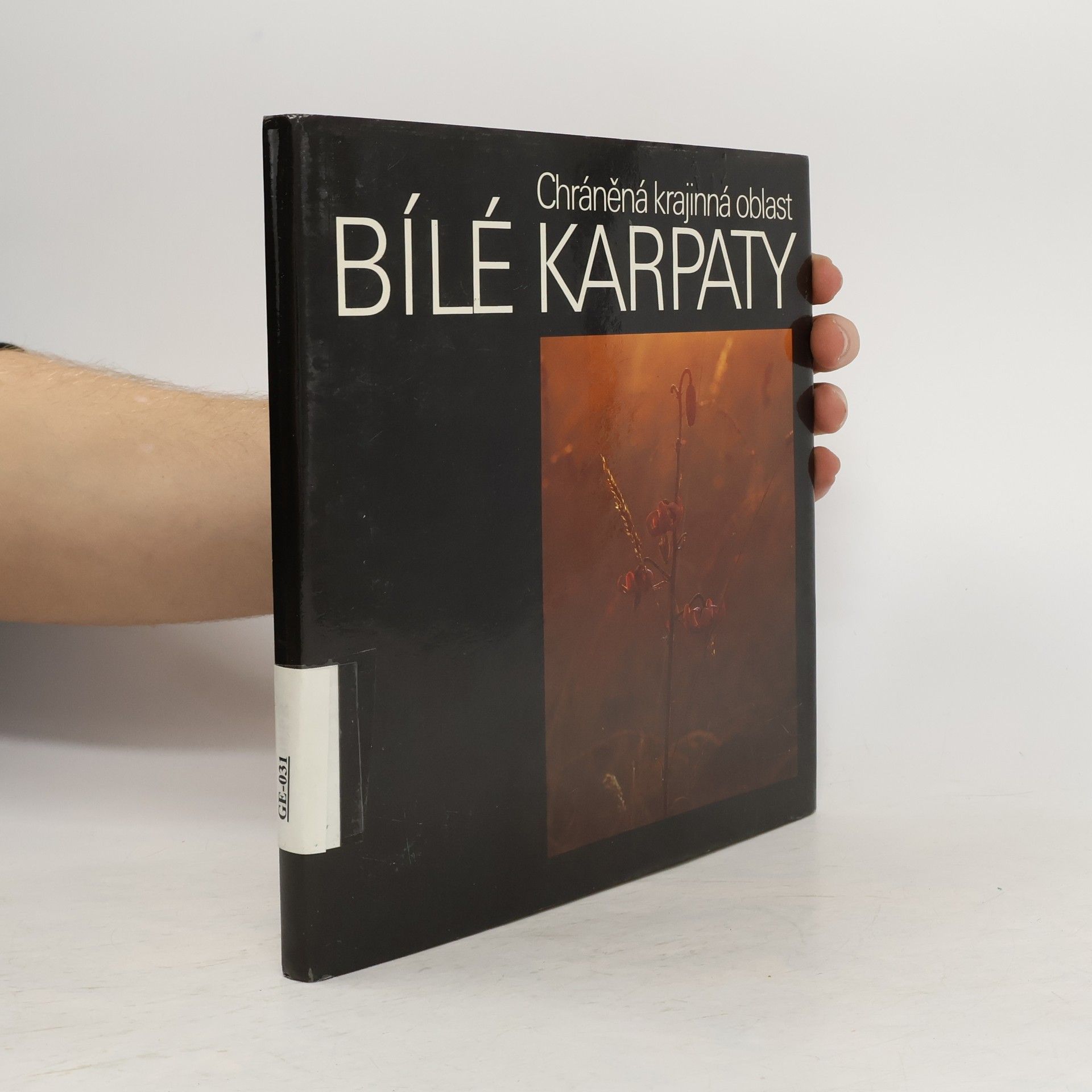 Vít Trachtulec Chráněná krajinná oblast Bílé Karpaty