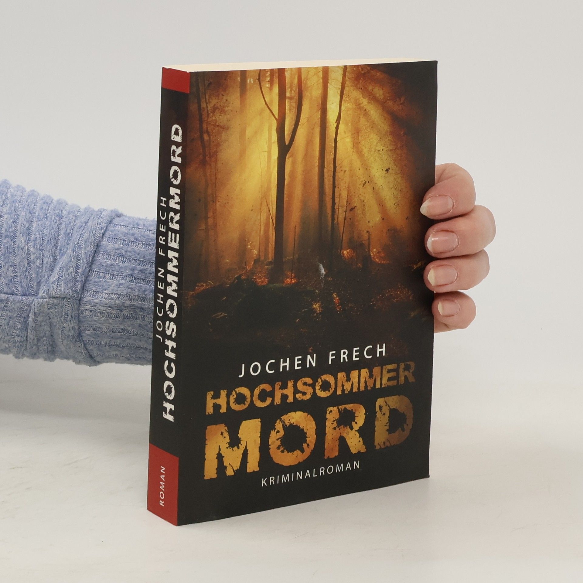 Jochen Frech Hochsommermord