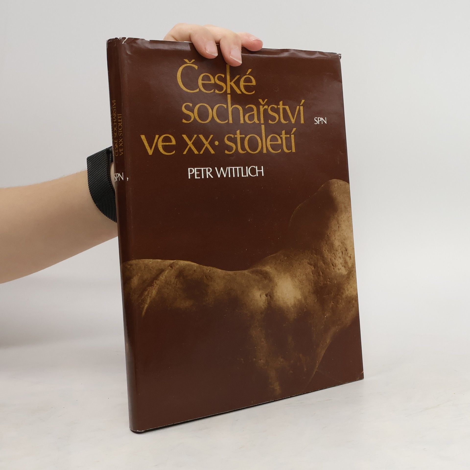 Petr Wittlich České sochařství ve XX. století