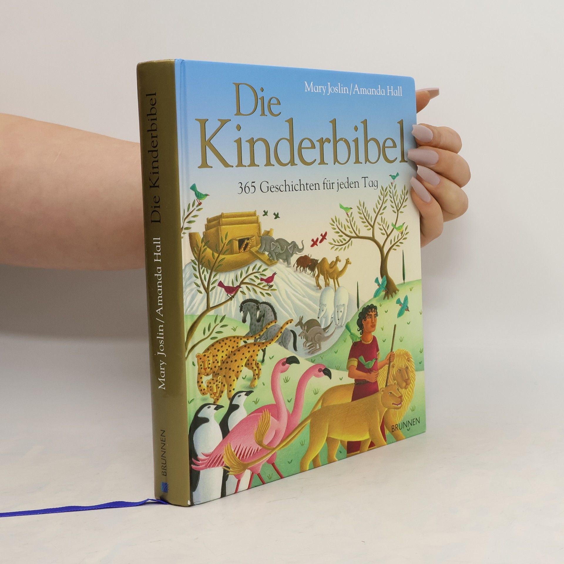 Mary Joslin Die Kinderbibel