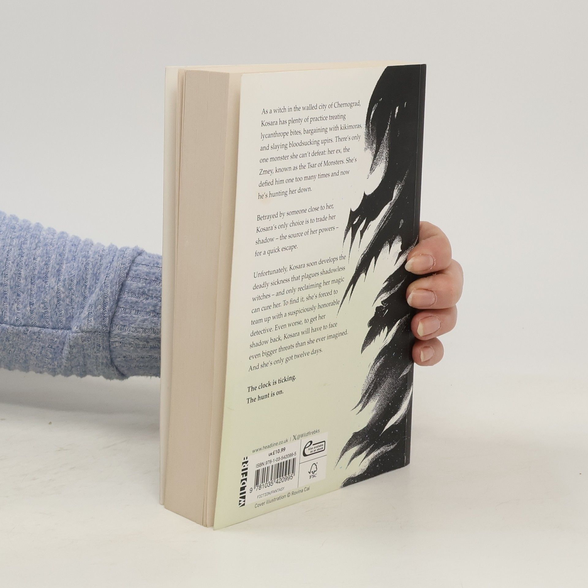 Dimova Genoveva Foul Days: Book One of The Witch´s Compendium of Monsters
