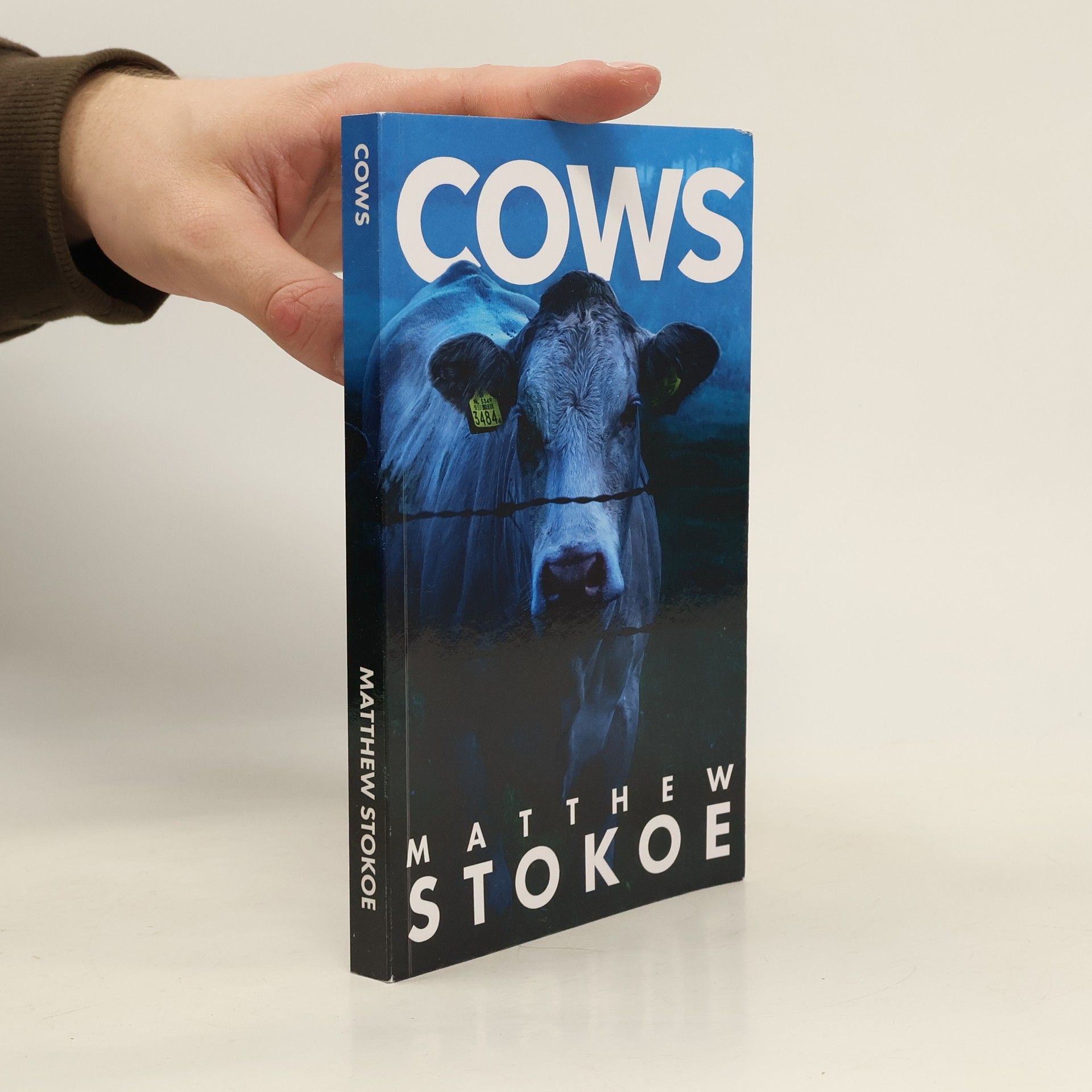 Mr Matthew Stokoe Cows