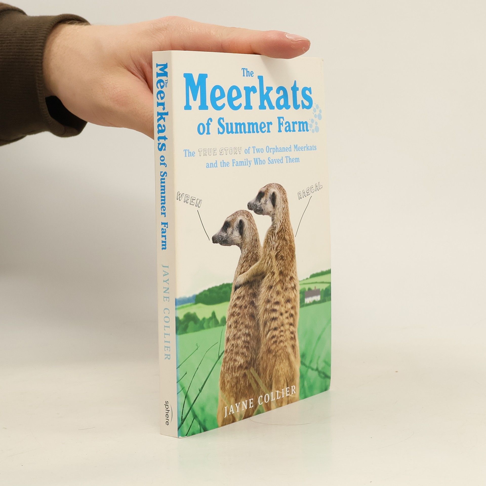 Jayne Collier The Meerkats of Summer Farm