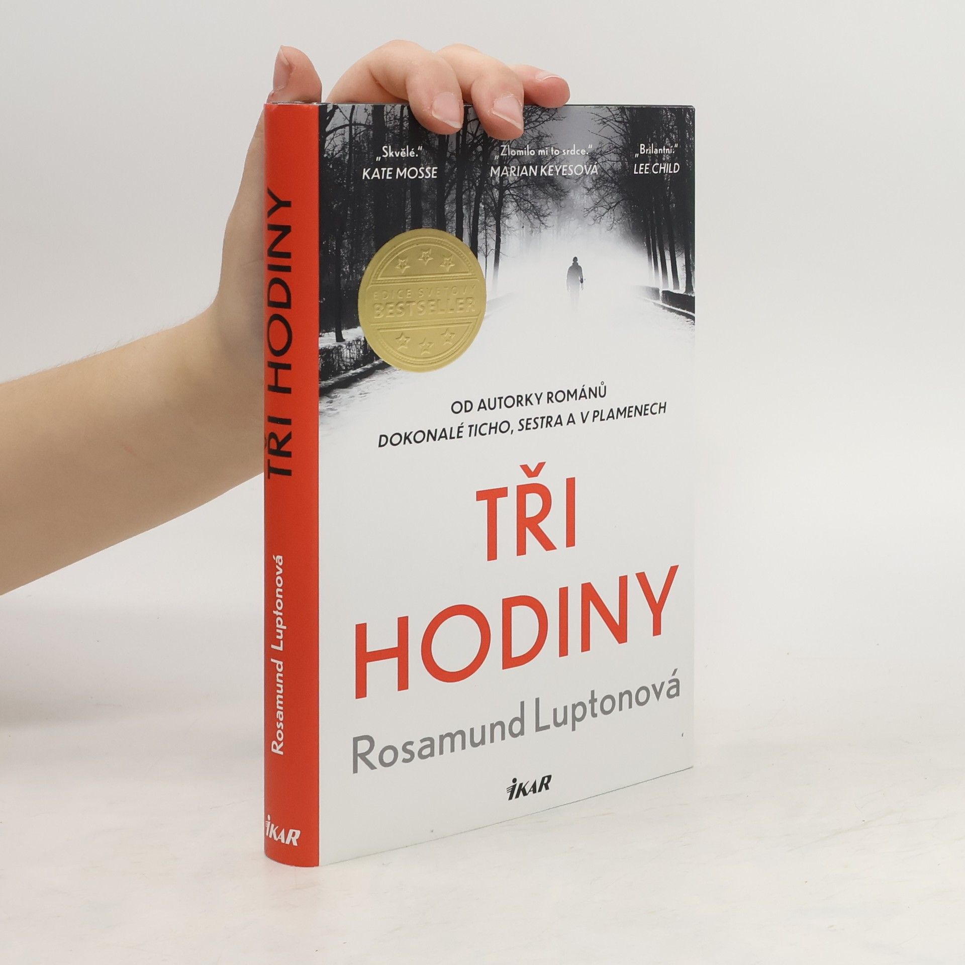 Rosamund Lupton Tři hodiny