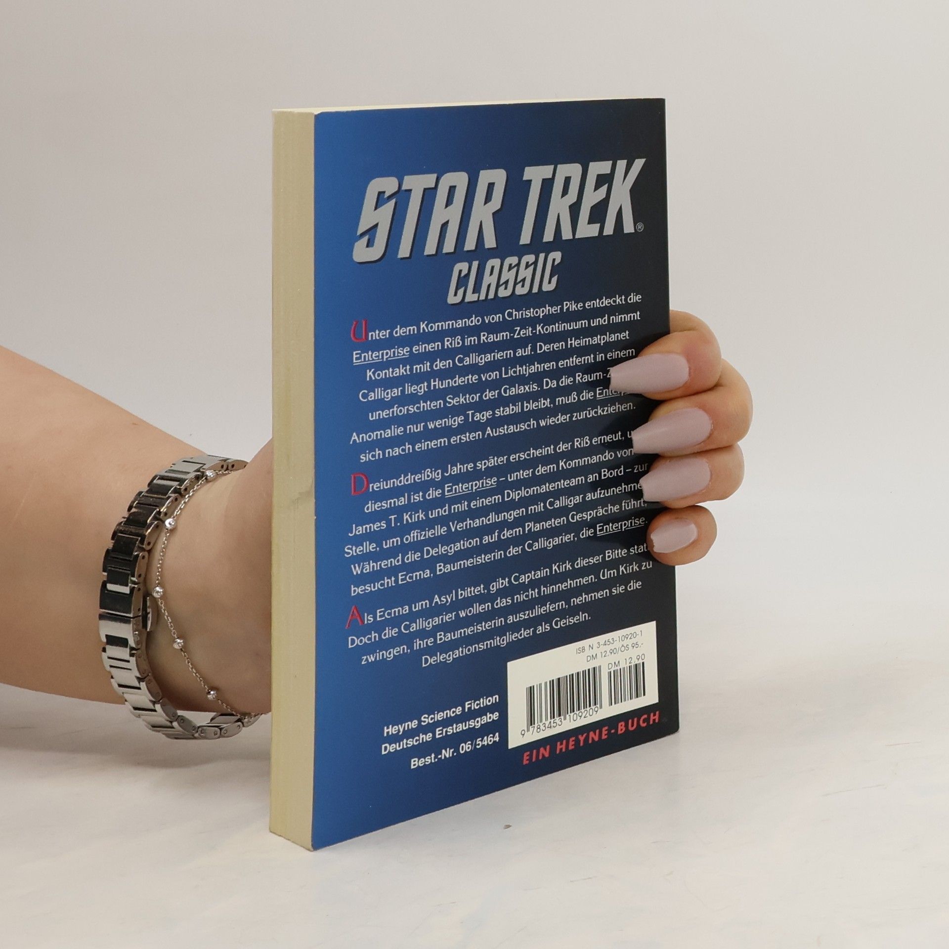 Peter David Der Riss im Kontinuum. STAR TREK Classic.