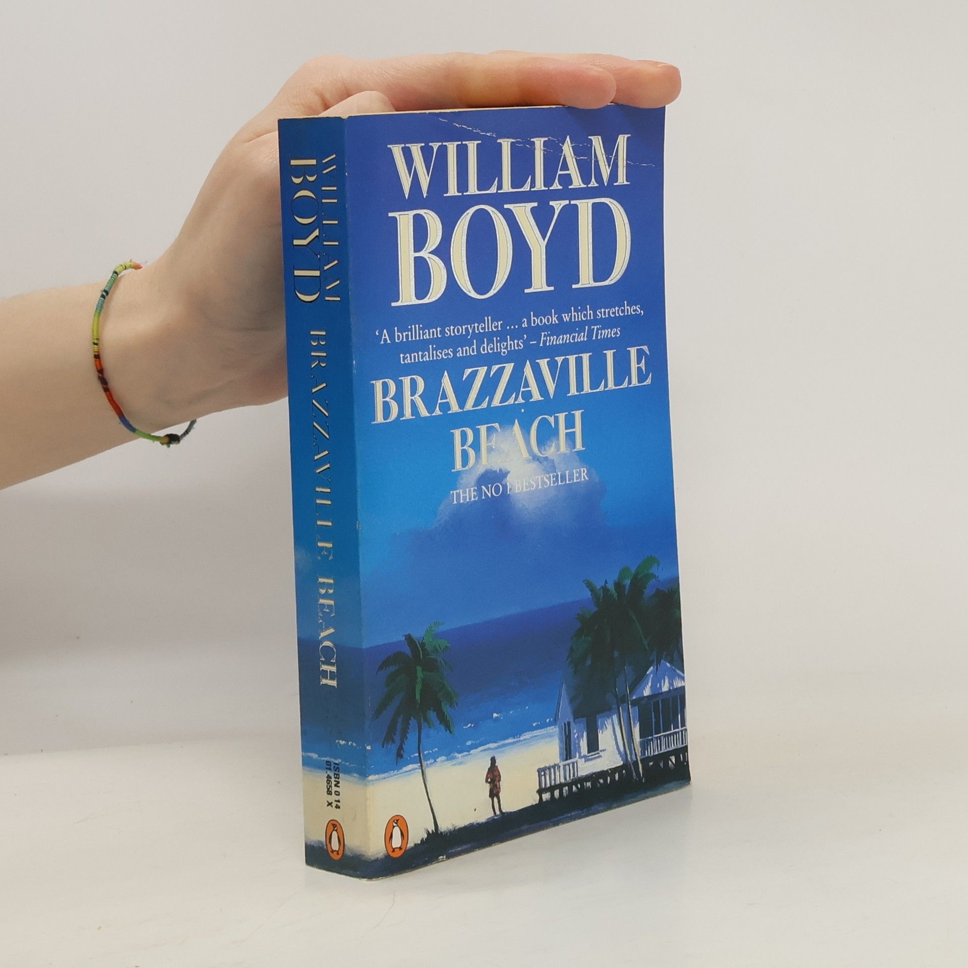 William Boyd Brazzaville Beach