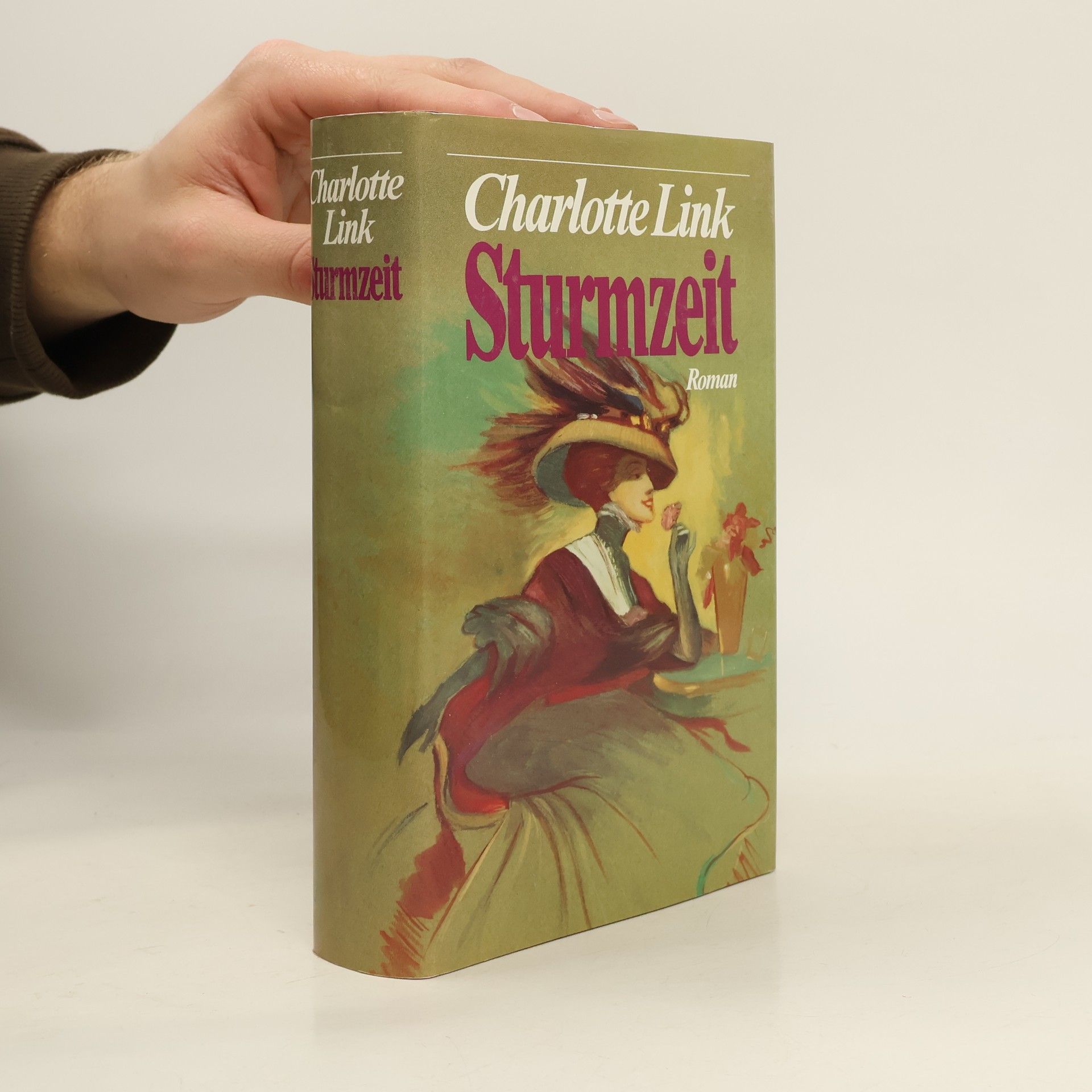 Charlotte Link Sturmzeit