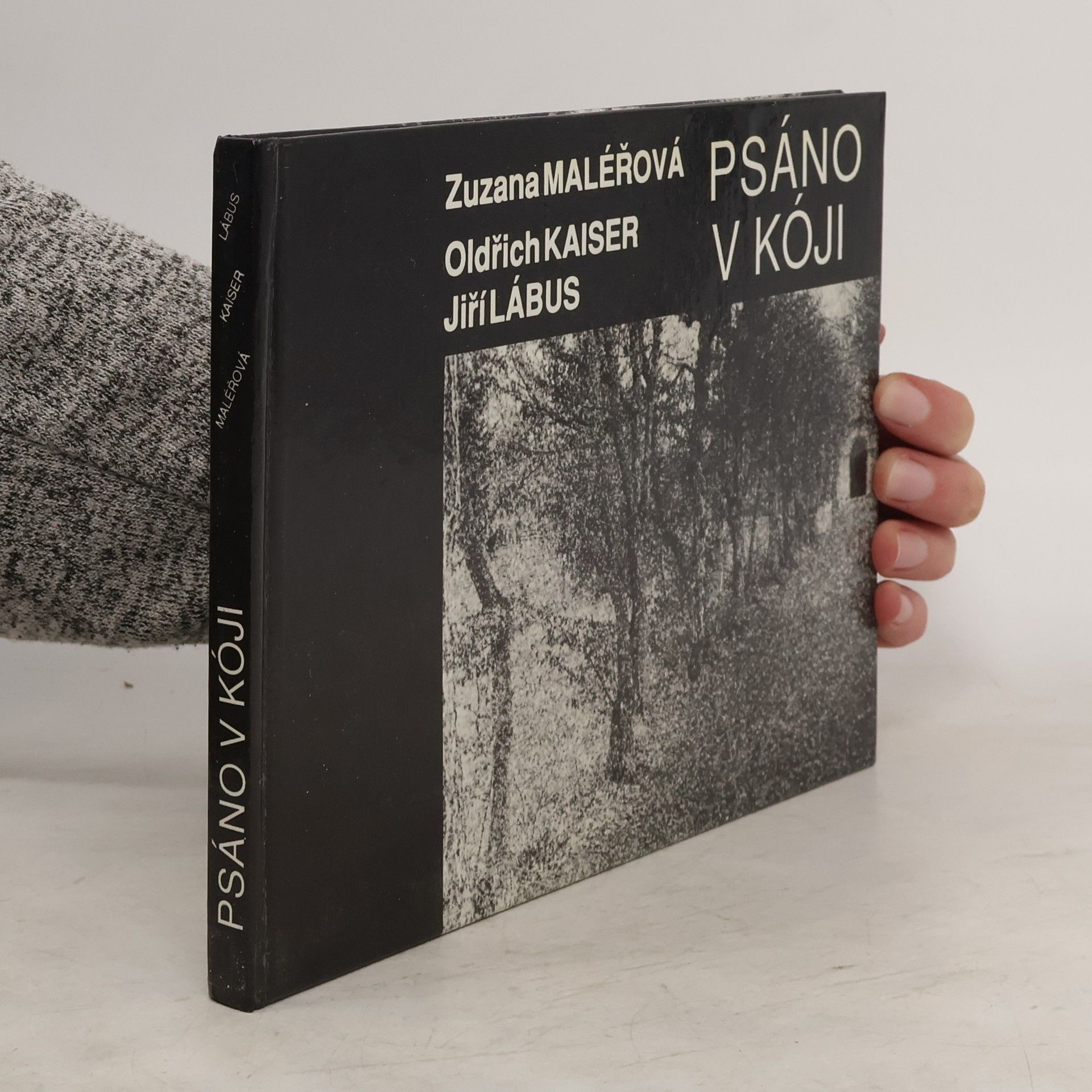 Zuzana Maléřová Psáno v kóji