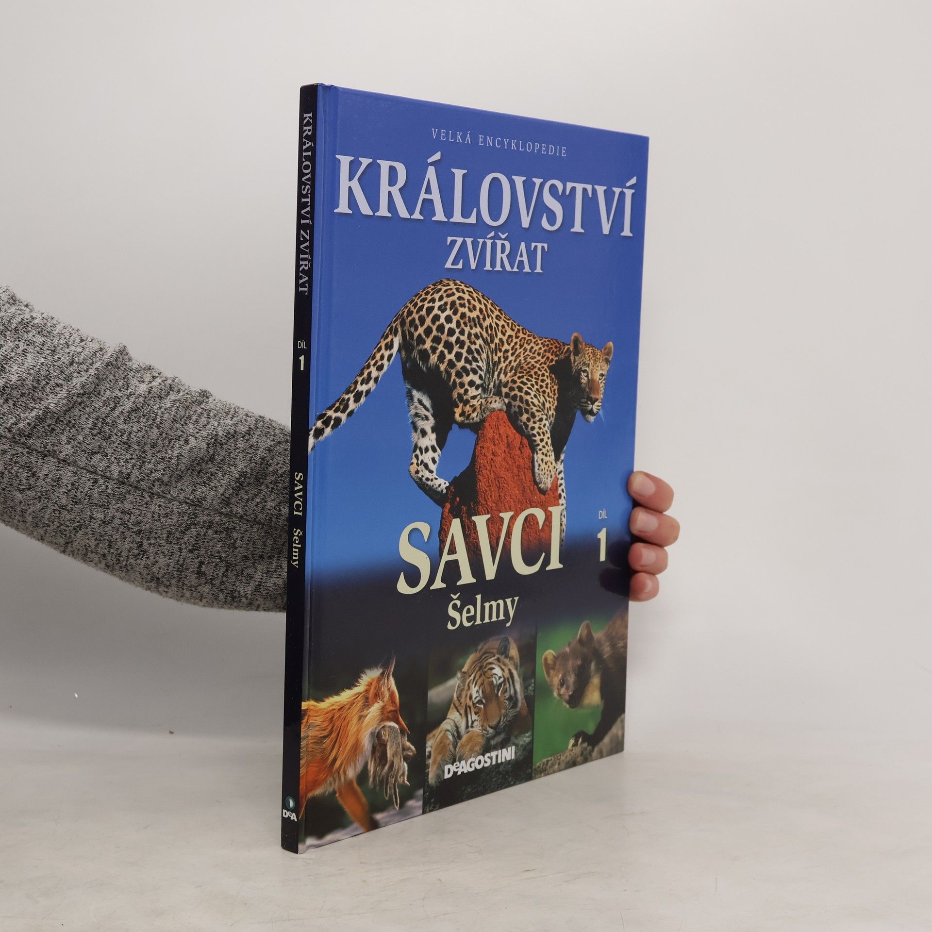 Miluše Rysová Království zvířat. 1. díl, Savci : šelmy